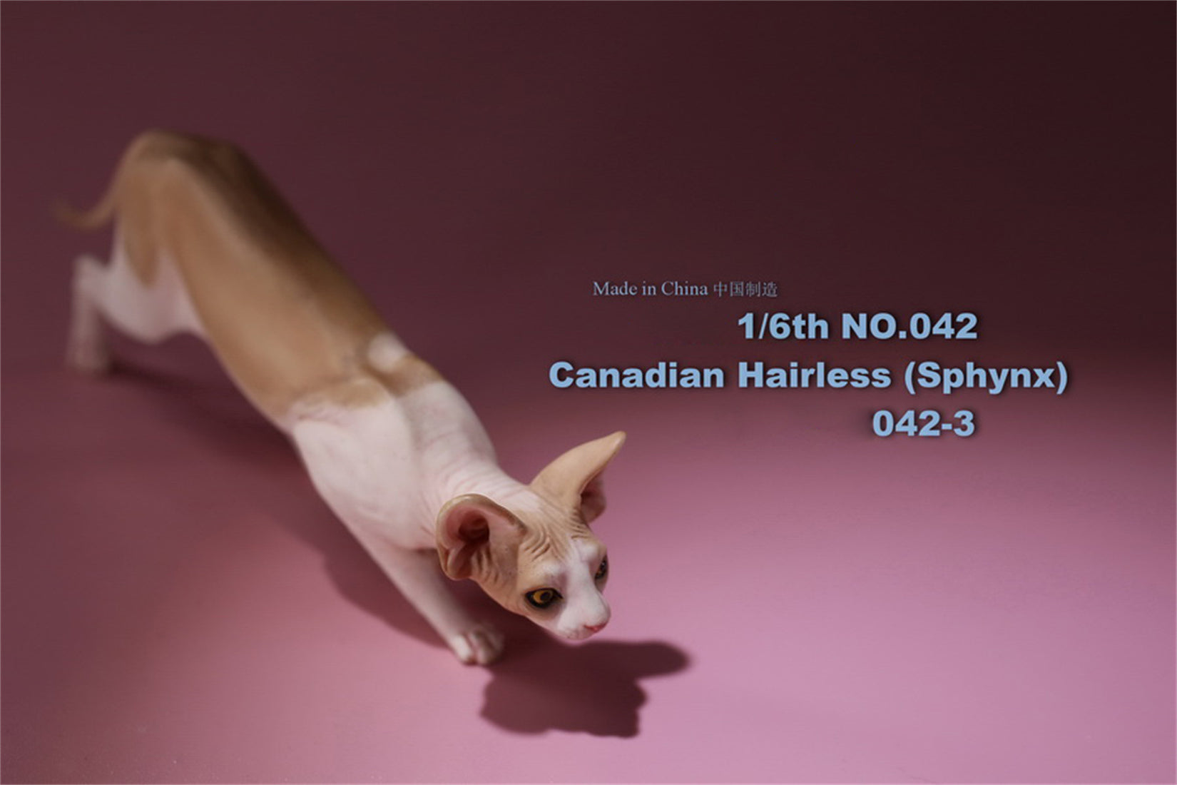 1/6 Canadian Hairless Figure
