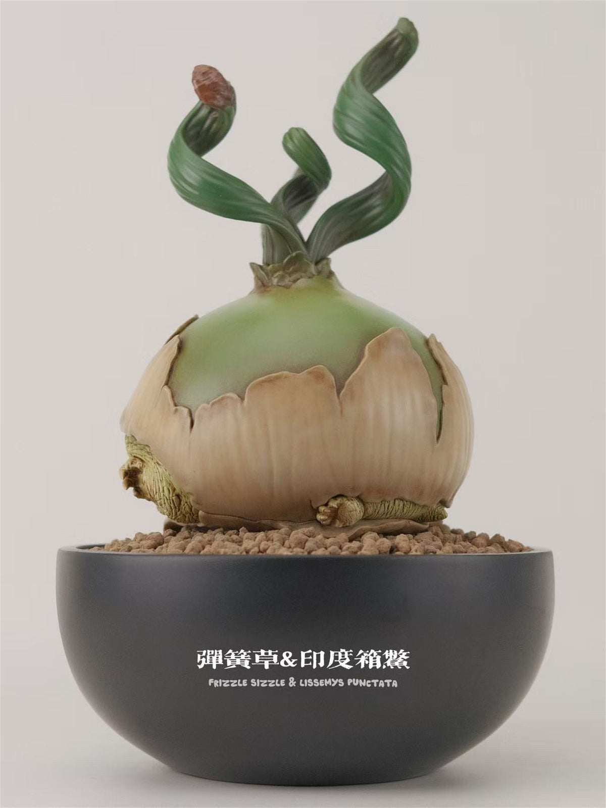 BOWUZHI Studio Caudiciform Monster World Model