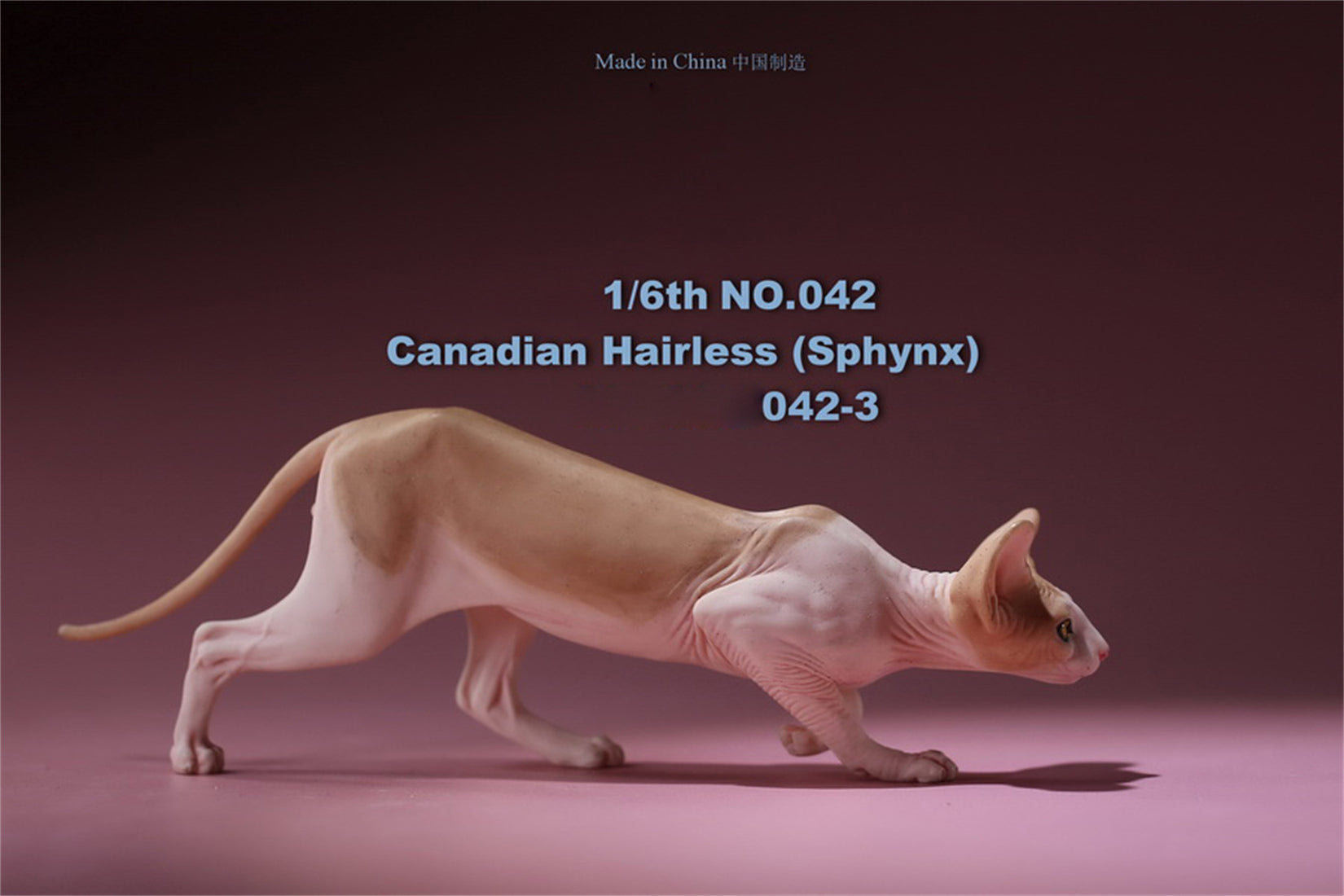 1/6 Canadian Hairless Figure