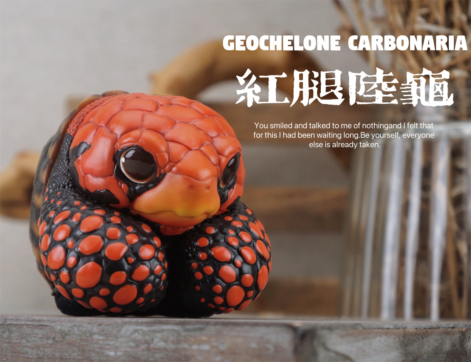 BOWUZHI Studio Geochelone Carbonaria & Chelonoidis Galapagoensis Model