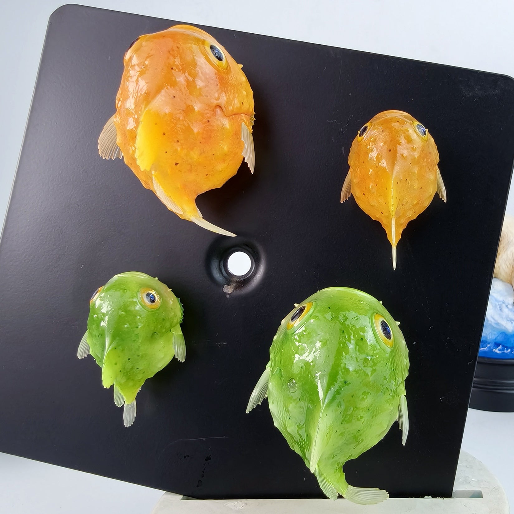 Schildkröten-Serie Tiermodell