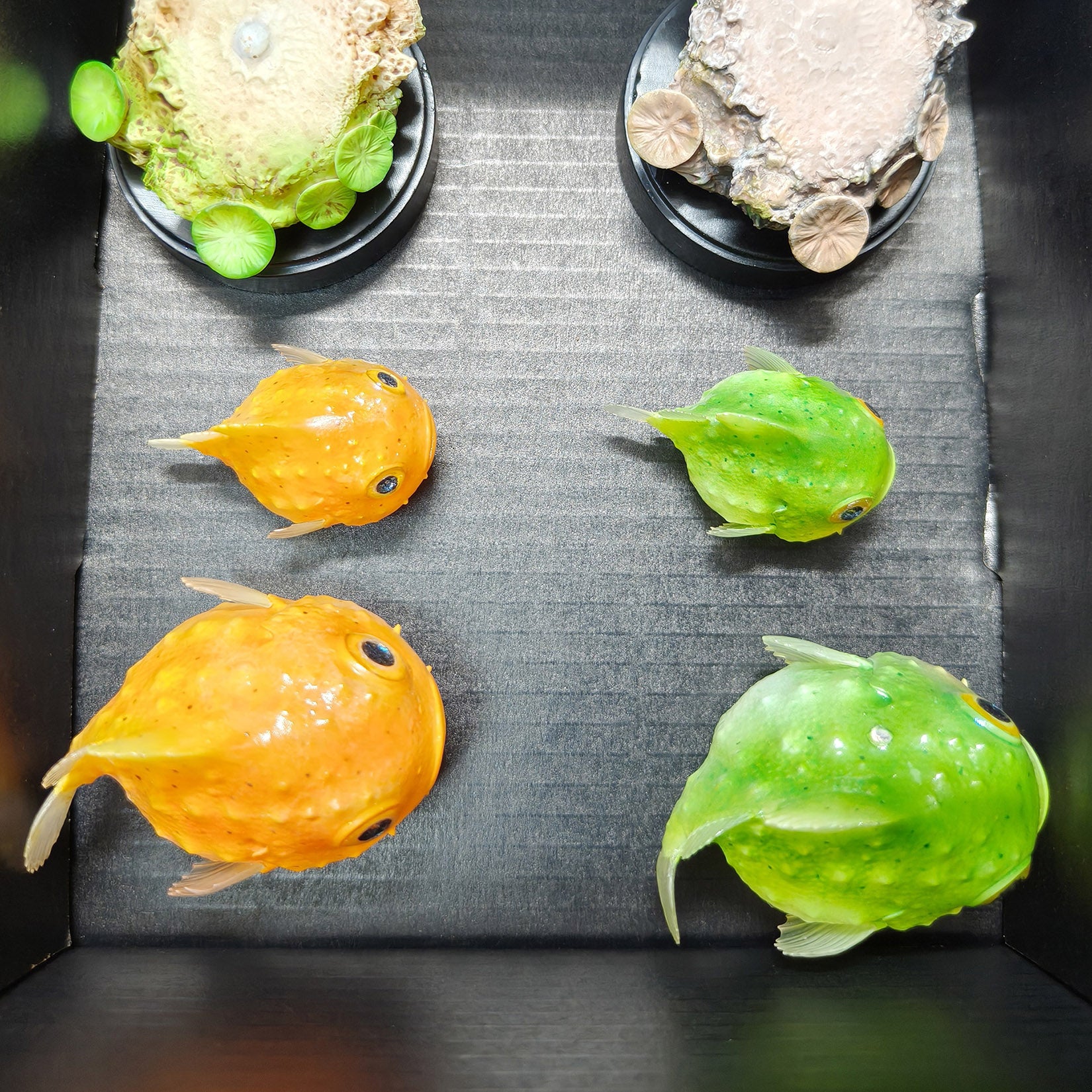 Schildkröten-Serie Tiermodell