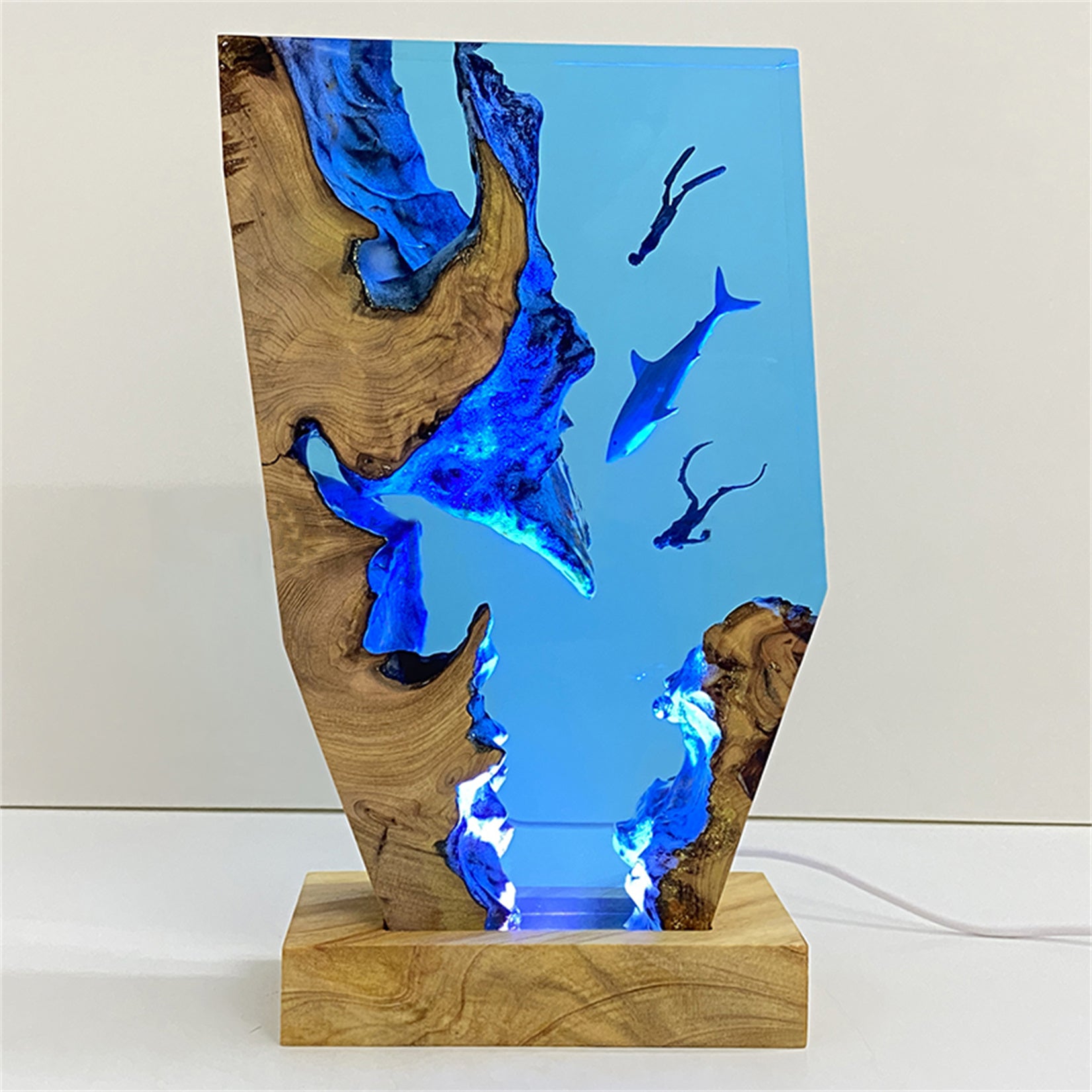 The Shark & Divers Ocean Model