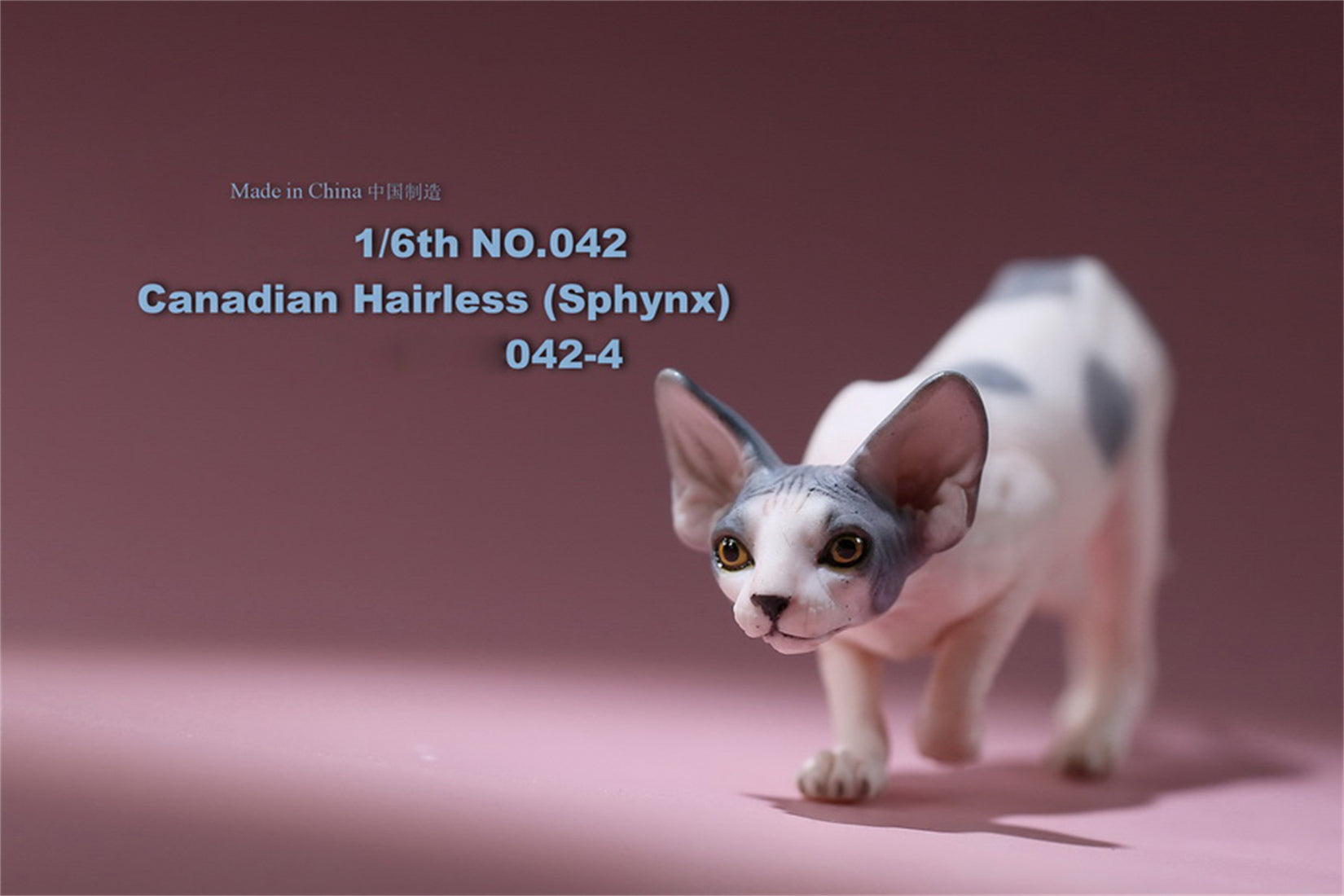 1/6 Canadian Hairless Figure