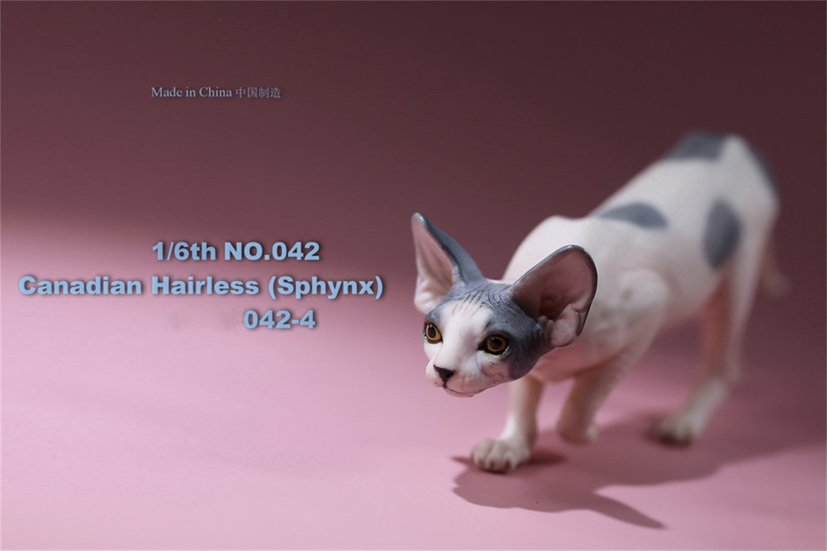 1/6 Canadian Hairless Figure