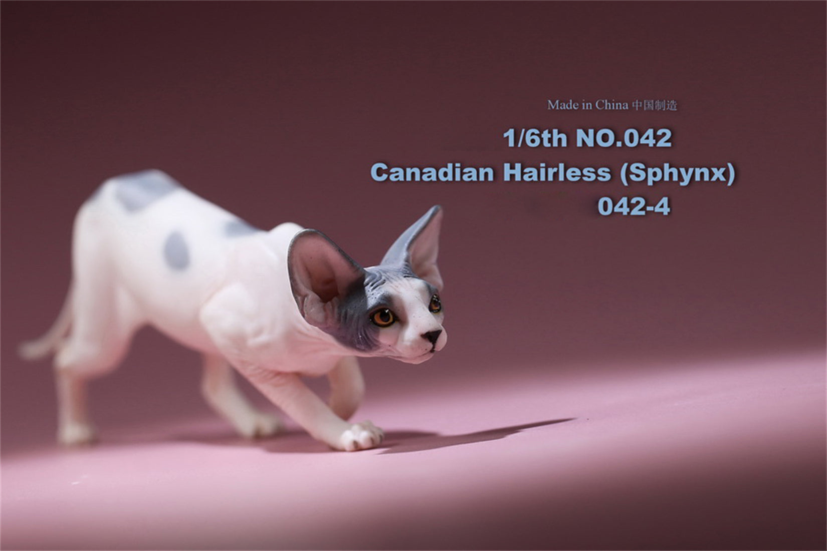 1/6 Canadian Hairless Figure