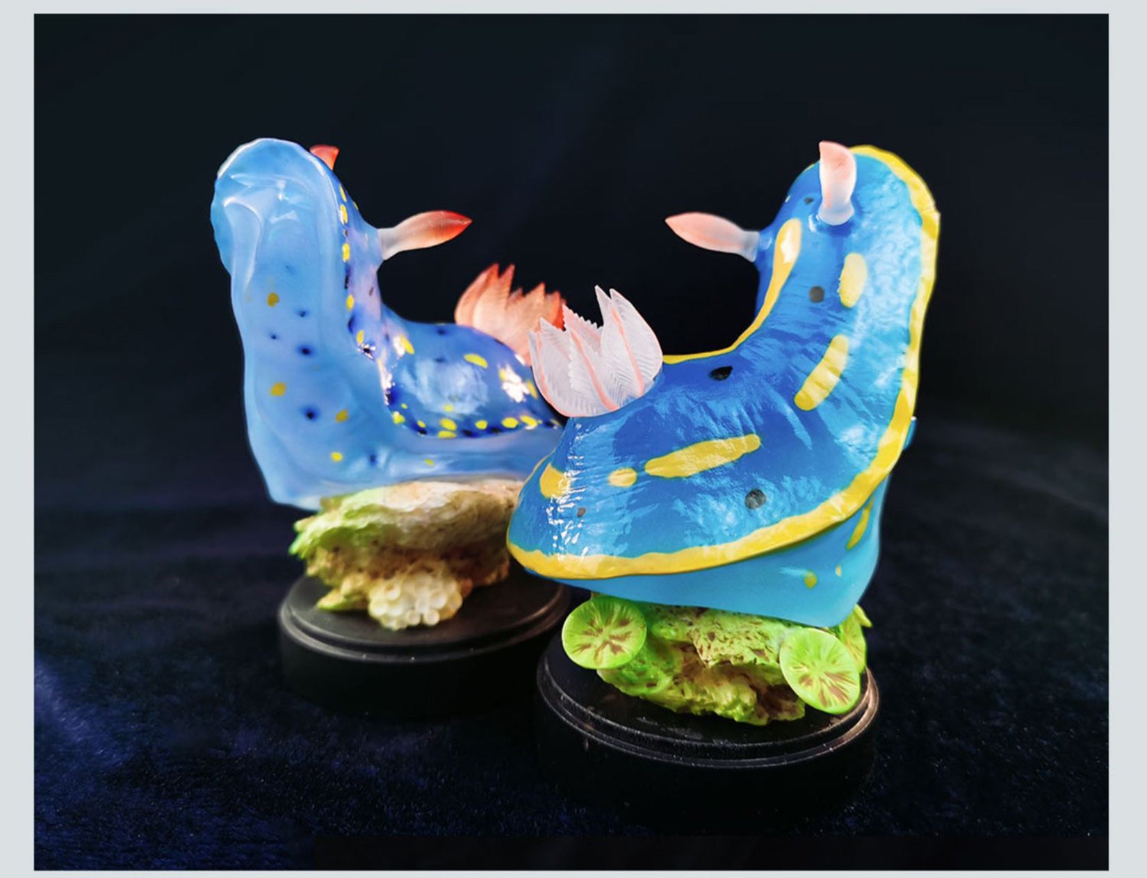 Sea Sprite 03 Series Model