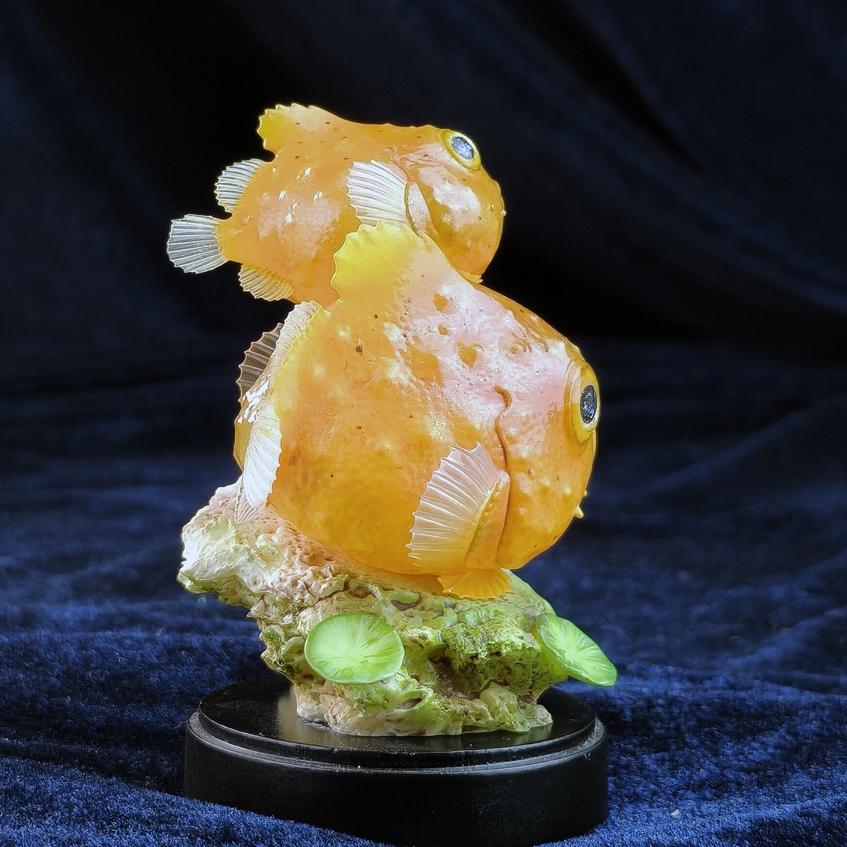 Schildkröten-Serie Tiermodell