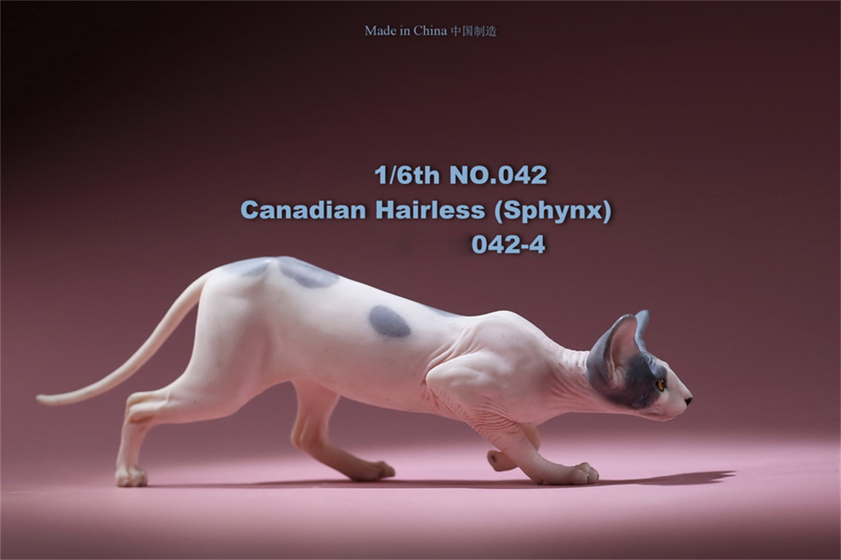 1/6 Canadian Hairless Figure