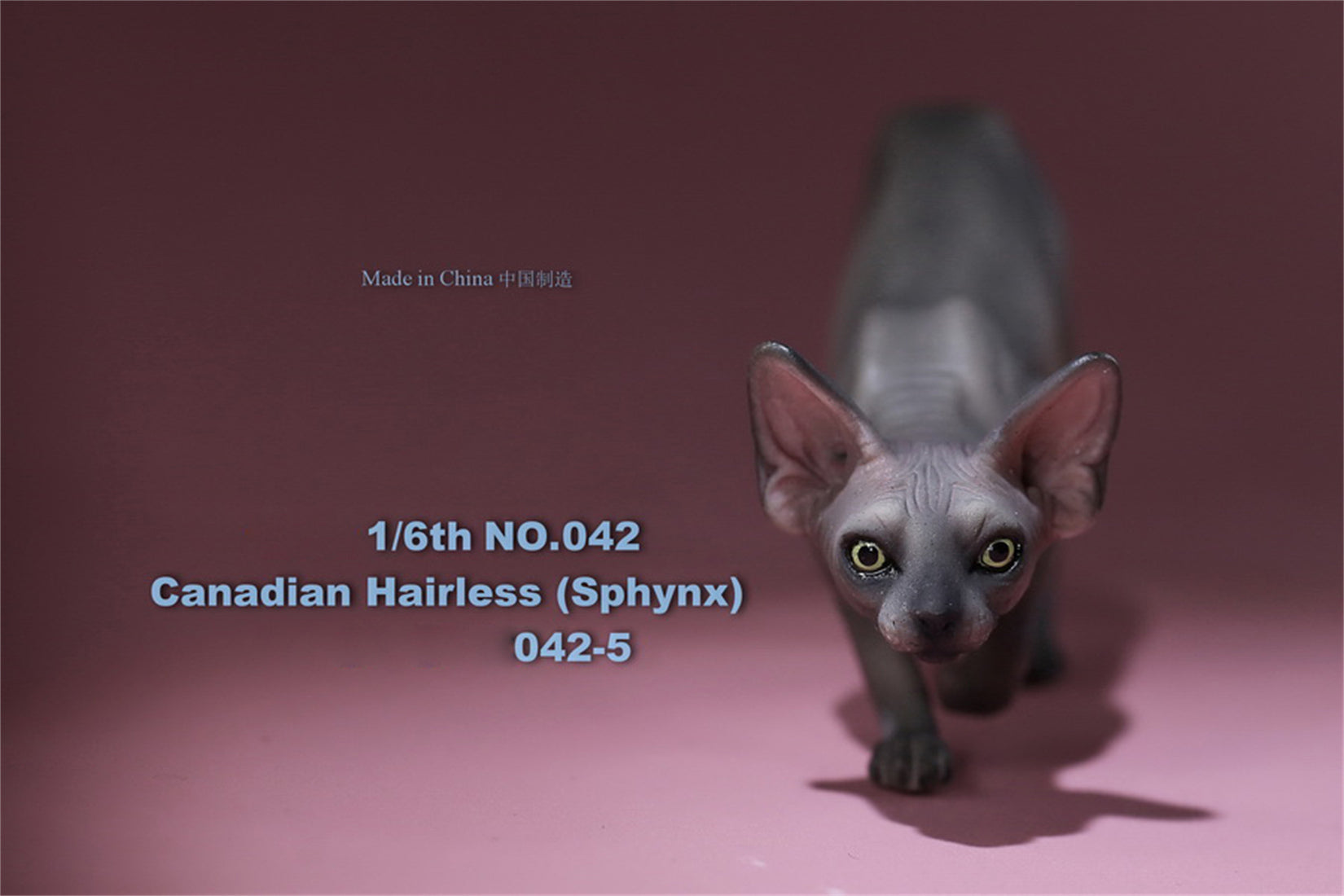 1/6 Canadian Hairless Figure