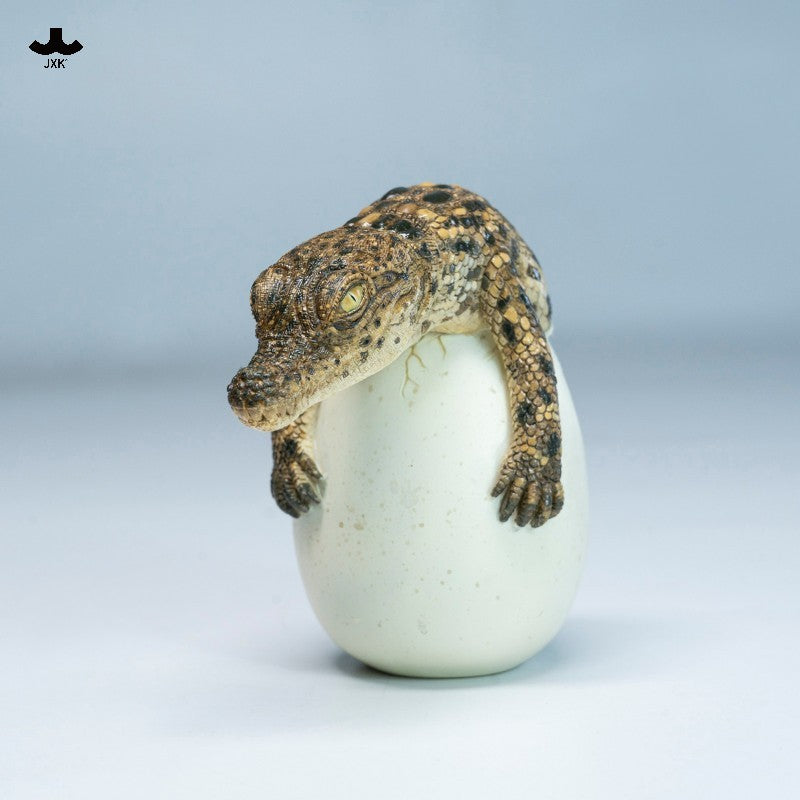 JXK Hatchling Crocodile Model