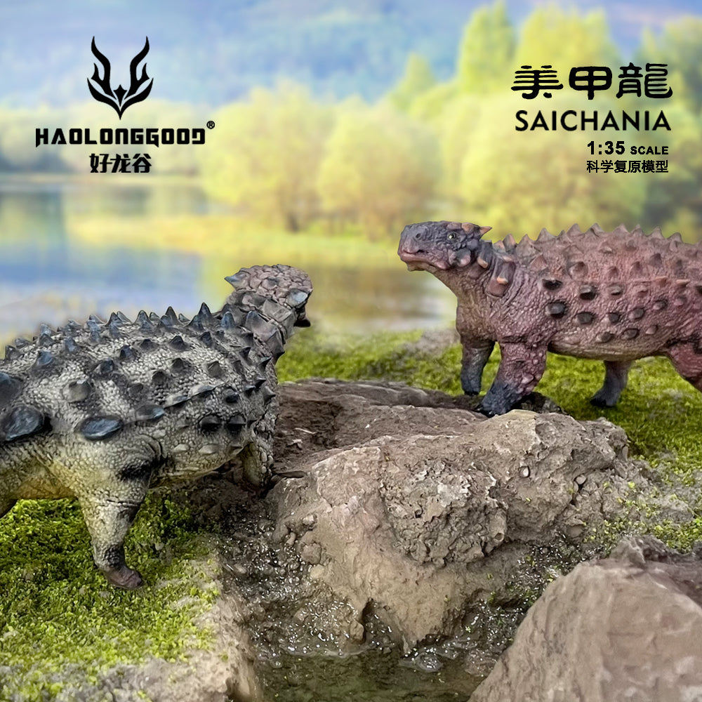 HAOLONGGOOD 1:35 Scale Saichania Model