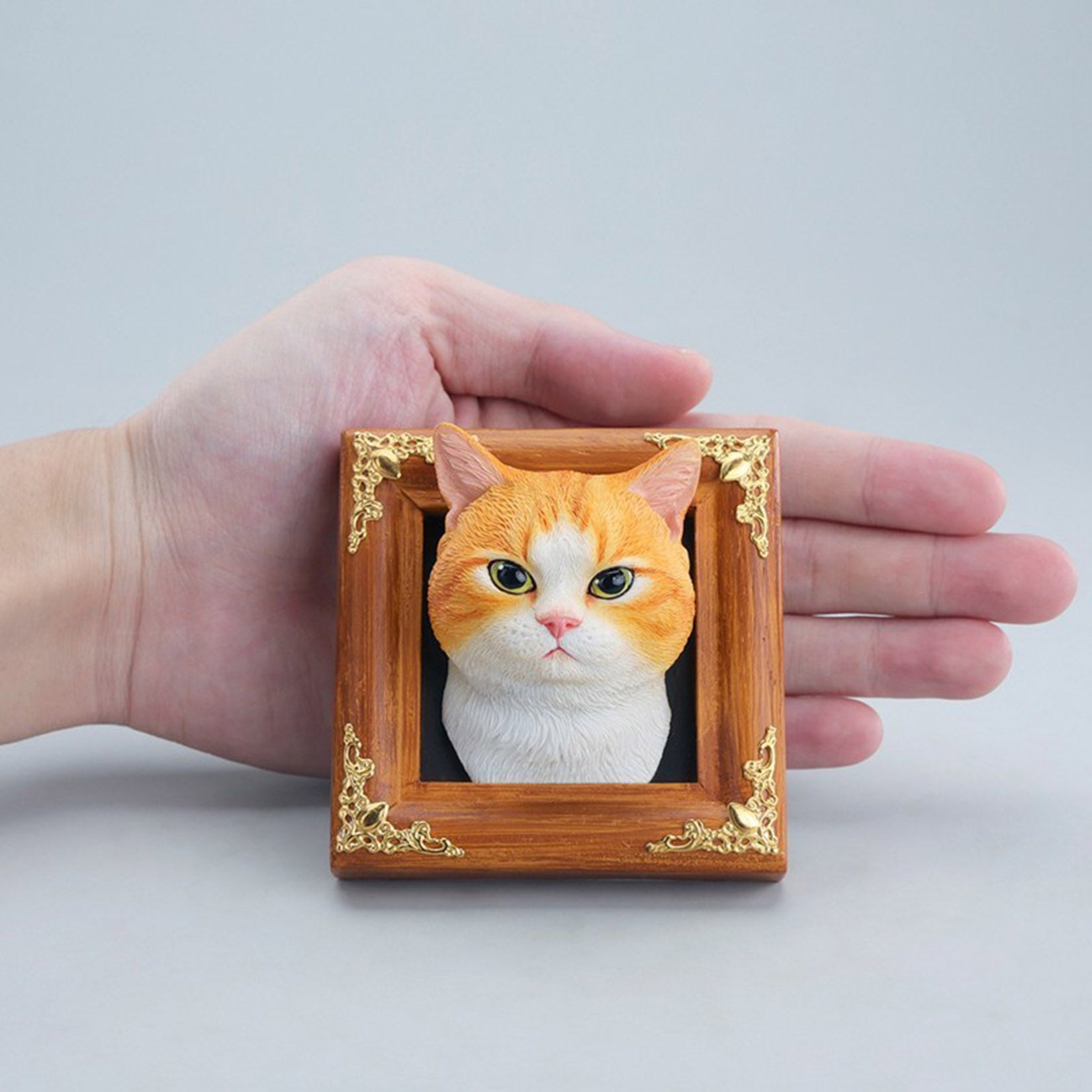 JXK Studio Gentle-eyed Country Cat Model