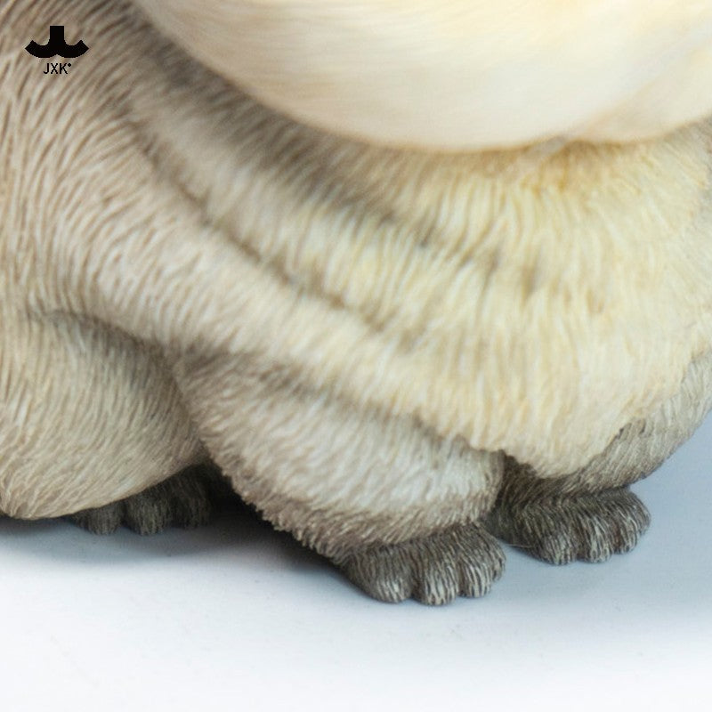 JXK Chirp Cats Model