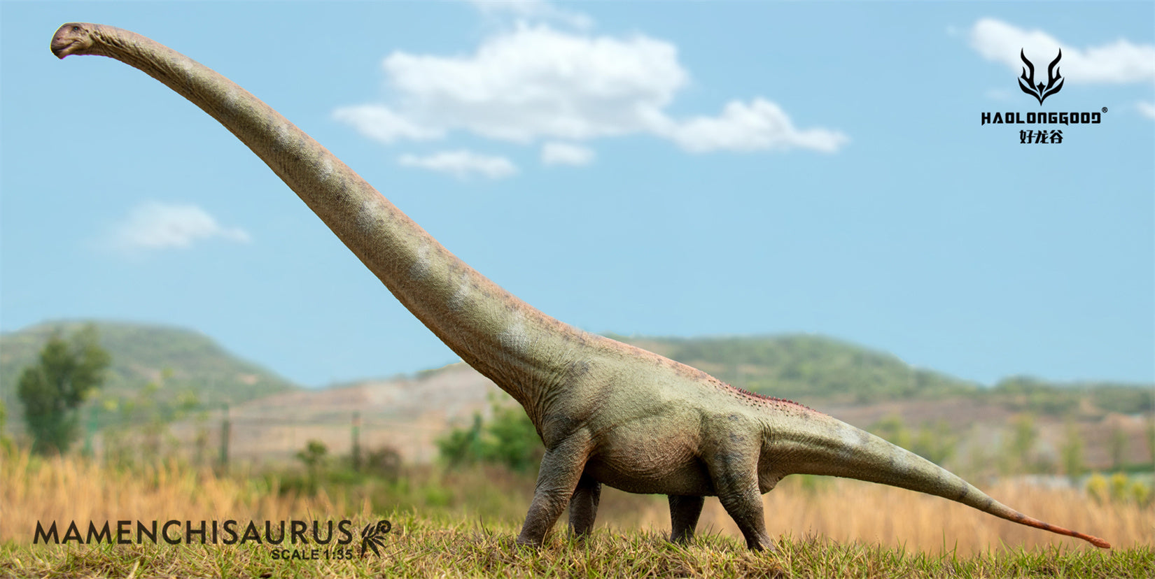 HAOLONGGOOD 1:35 Scale Mamenchisaurus Model