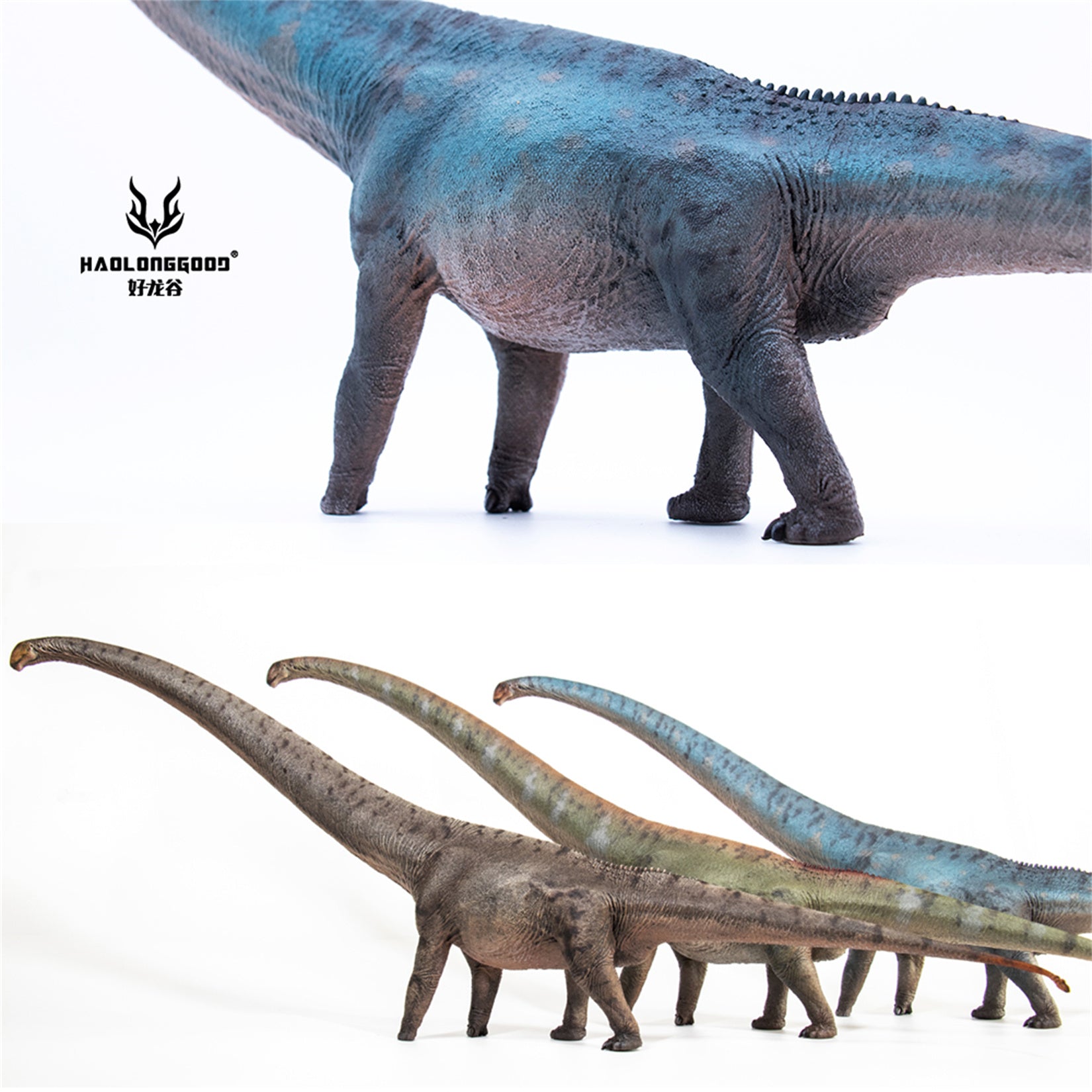 HAOLONGGOOD 1:35 Scale Mamenchisaurus Model