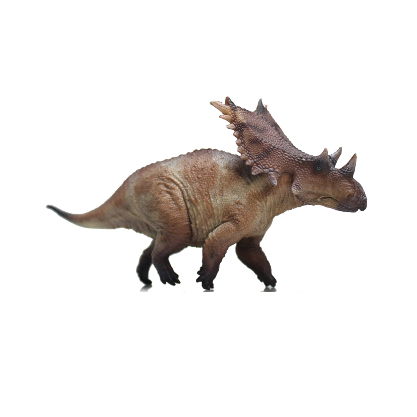 HAOLONGGOOD 1:35 Scale Chasmosaurus Model