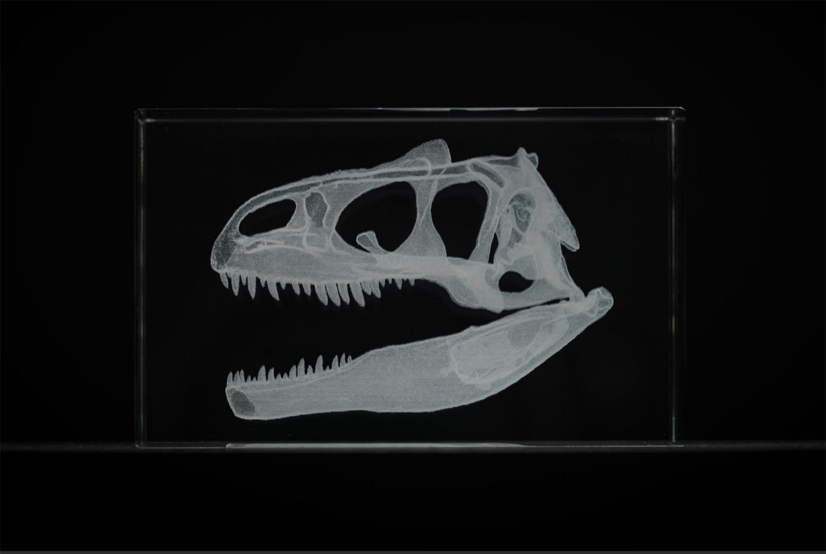 Cerastes Cornutus Schlangenmodell