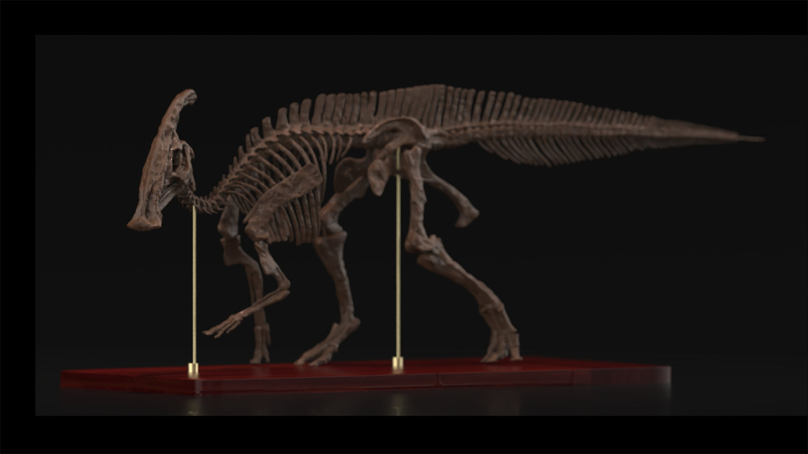 Nova Studio 1/15 Scale Parasaurolophus walkeri Skeleton Model