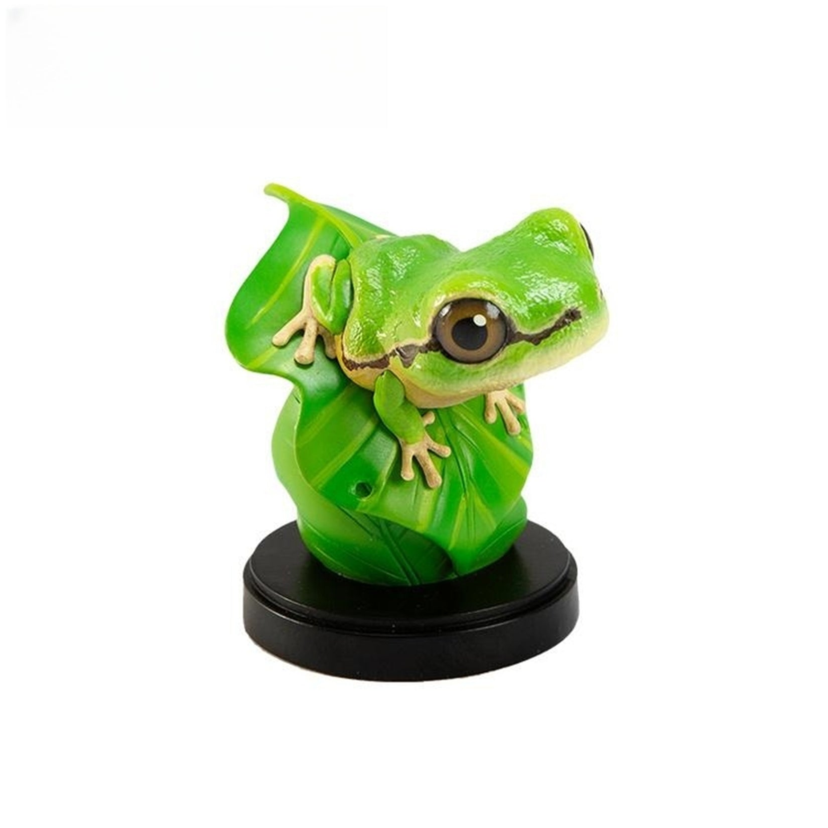 Hongshan Forest Zoo Spotless Tree Frog Model