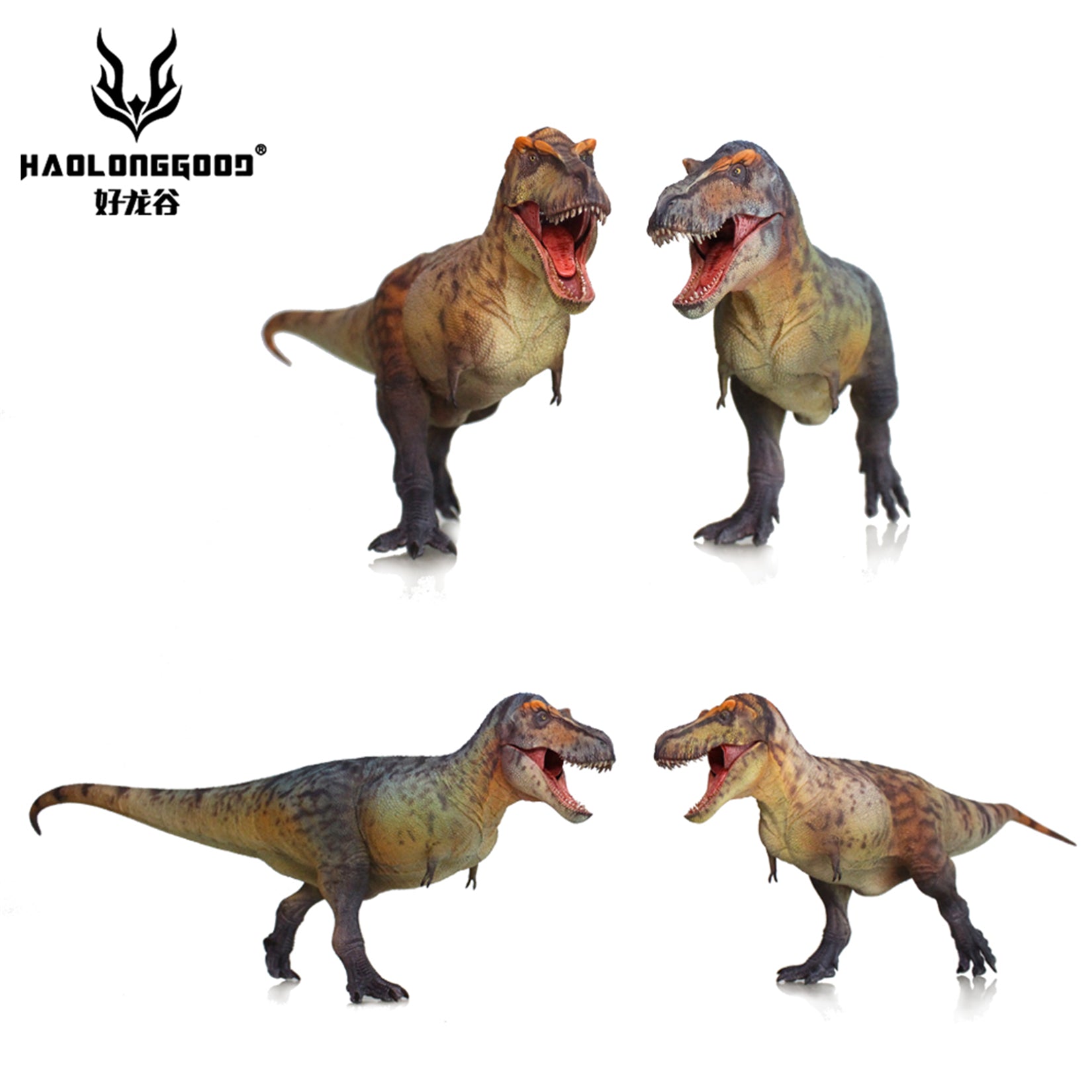 HAOLONGGOOD 1:35 Scale Tyrannosaurus Rex Model