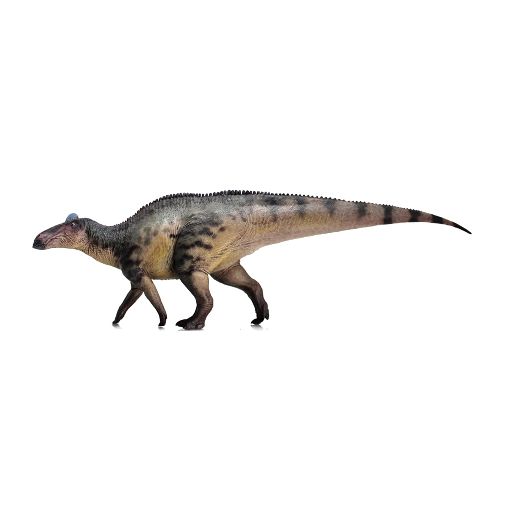 HAOLONGGOOD 1:35 Scale Edmontosaurus Model