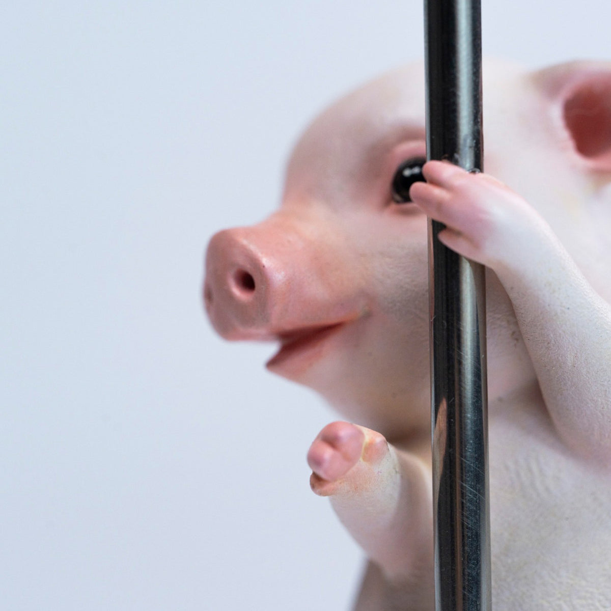JXK Studio Pole Dance Pig Model