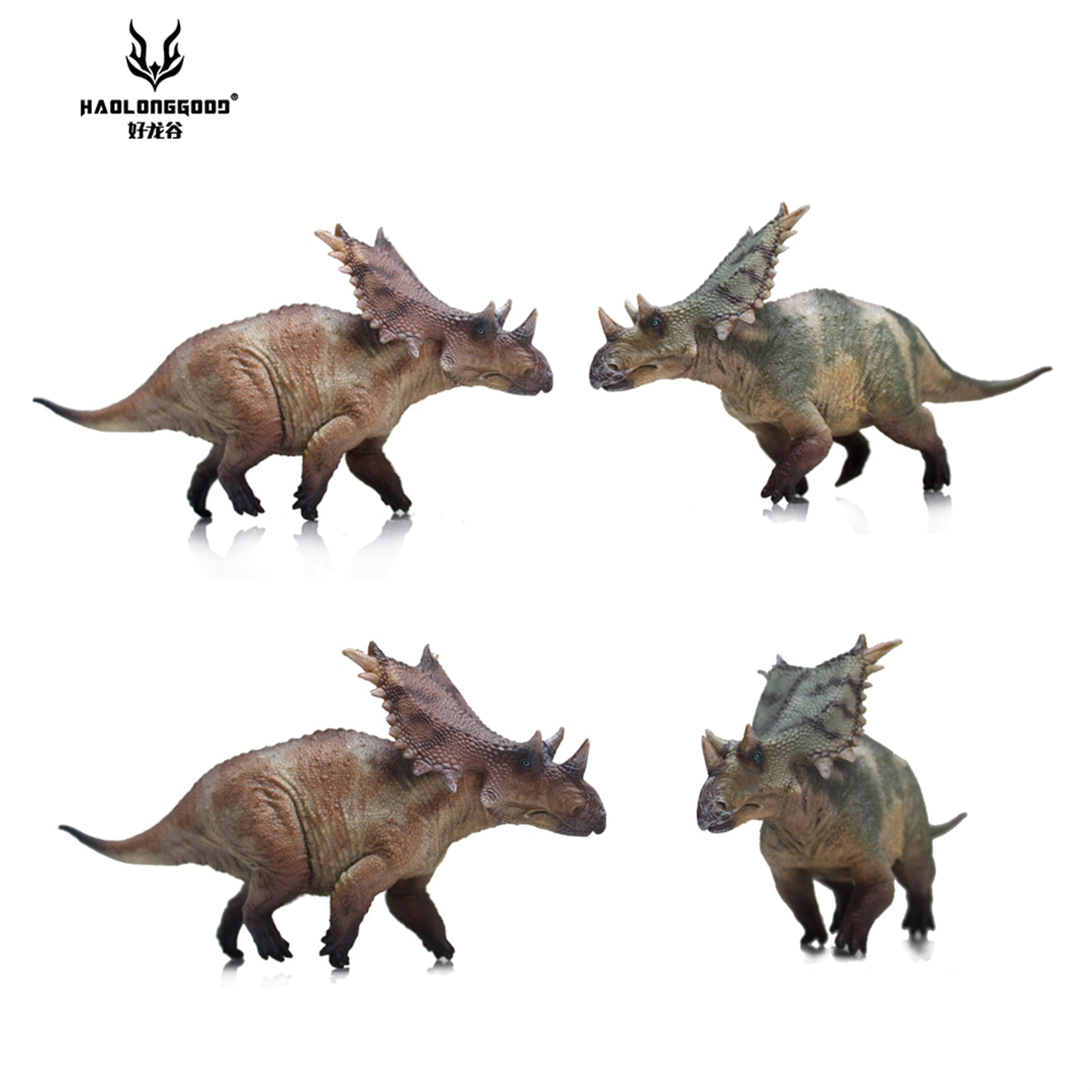 HAOLONGGOOD 1:35 Scale Chasmosaurus Model