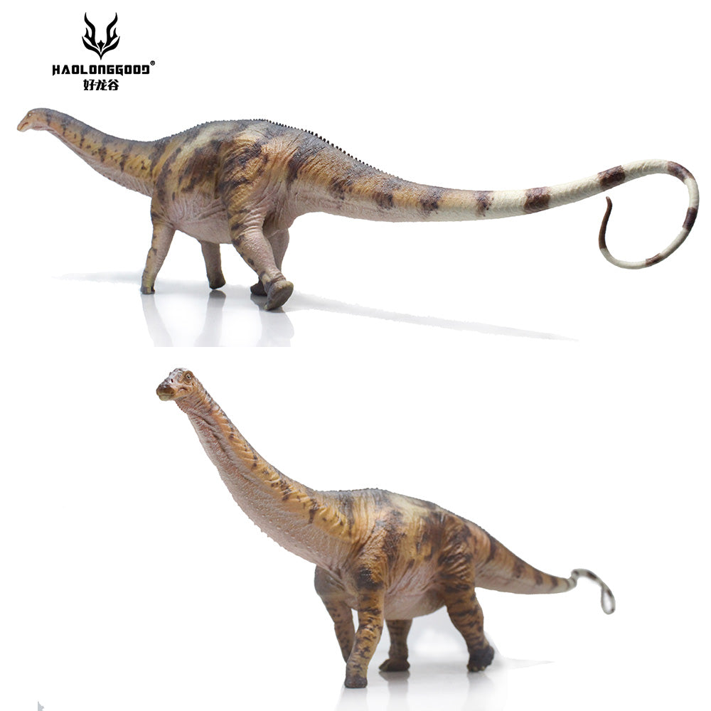 HAOLONGGOOD 1:35 Scale Apatosaurus Model