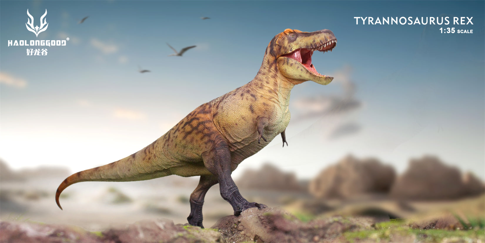 HAOLONGGOOD 1:35 Scale Tyrannosaurus Rex Model