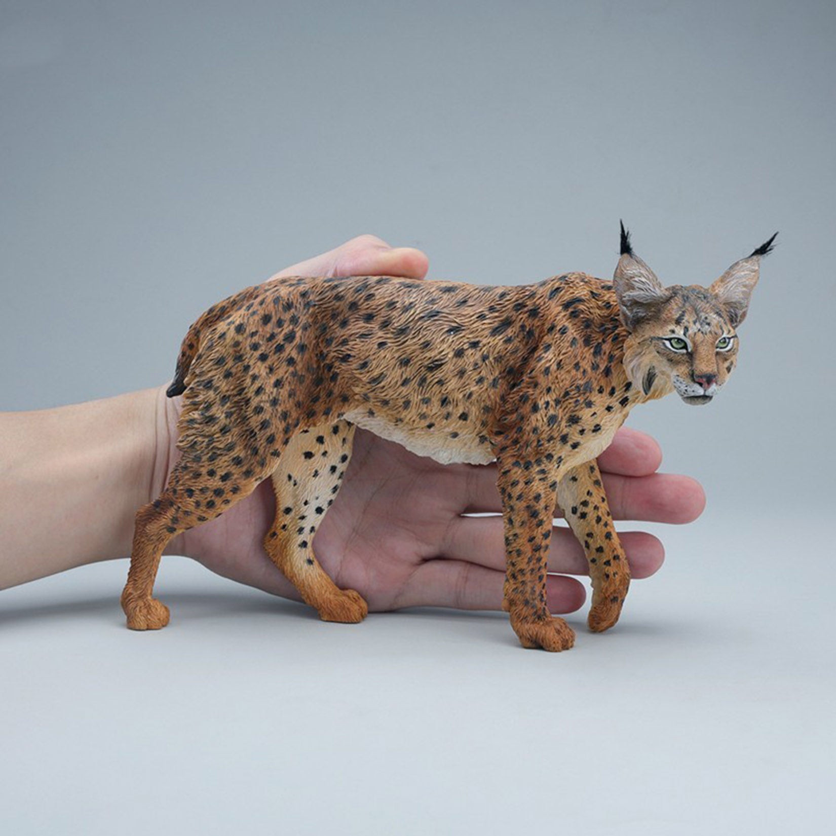 JXK Studio Lynx Model