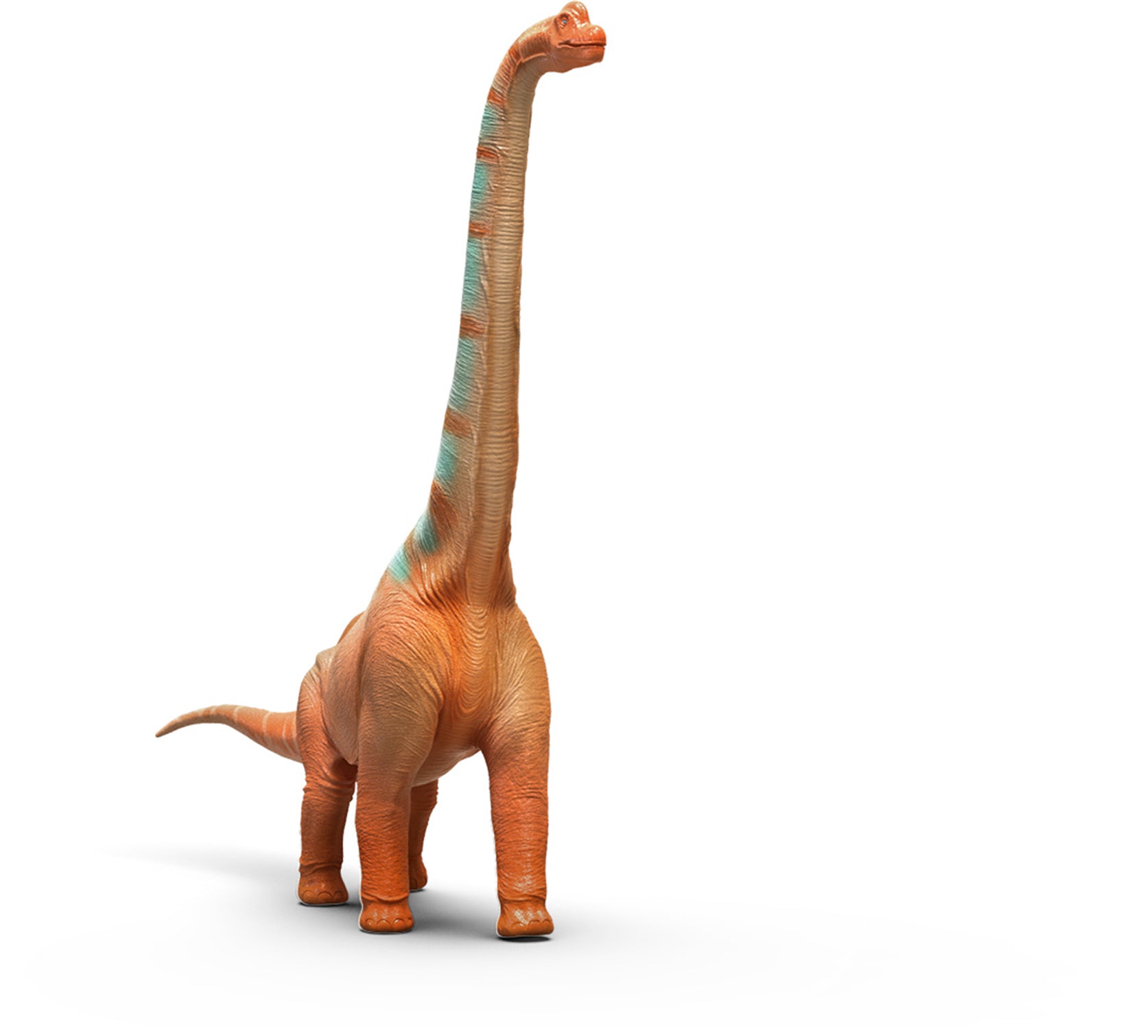 RECUR 1:65 Scale Brachiosaurus Elmer Model