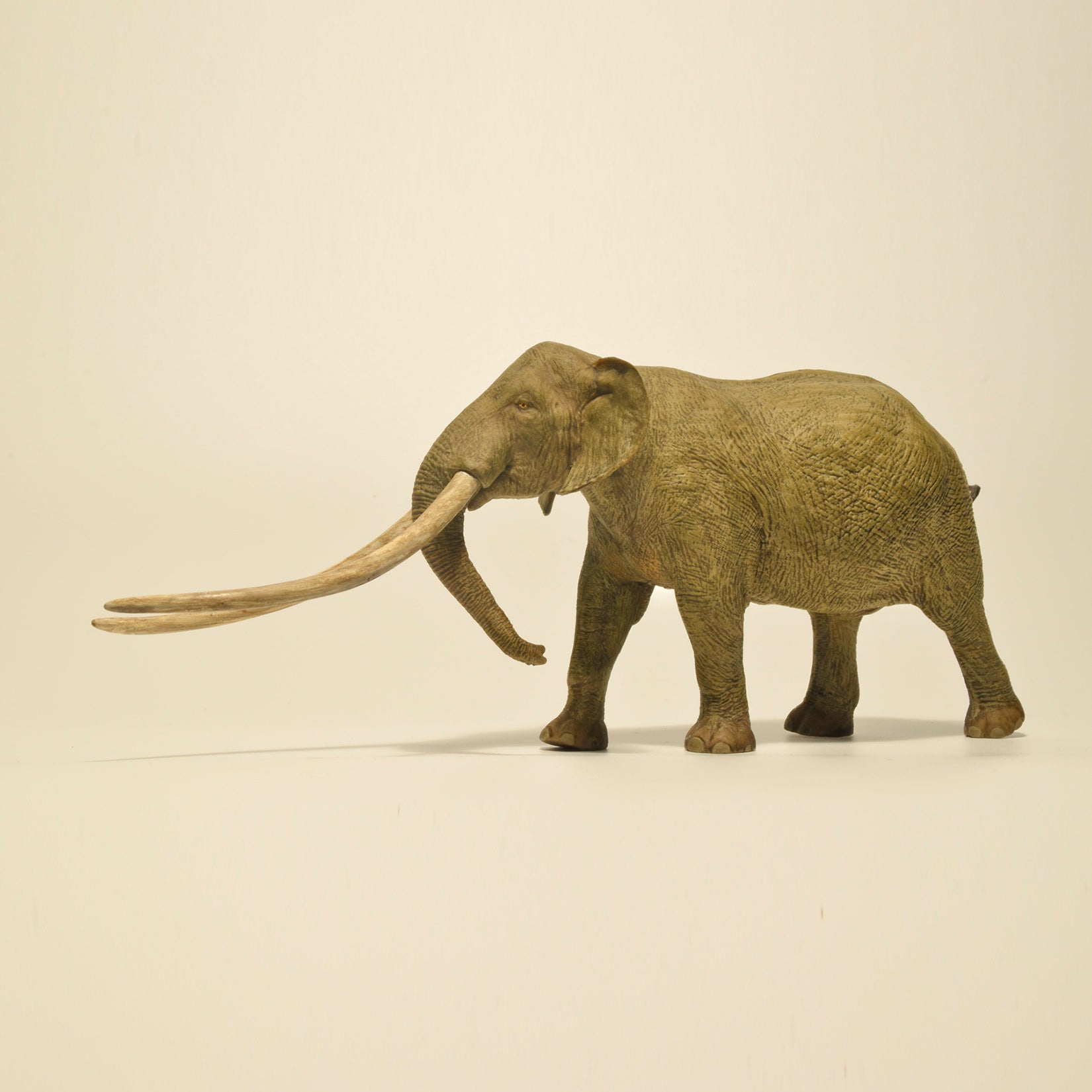 Eofauna 1:35 Scale Anancus arvernensis Figure