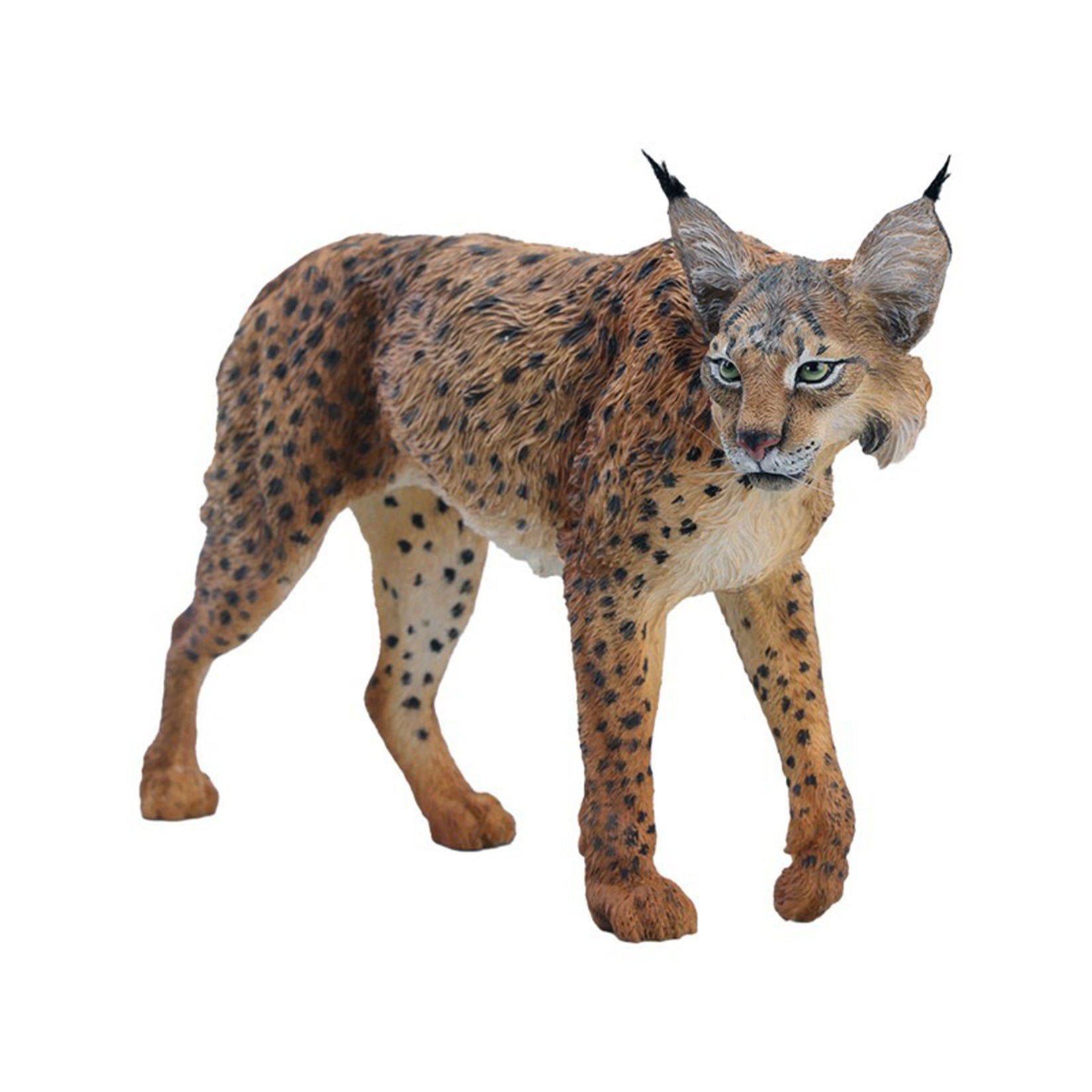 JXK Studio Lynx Model