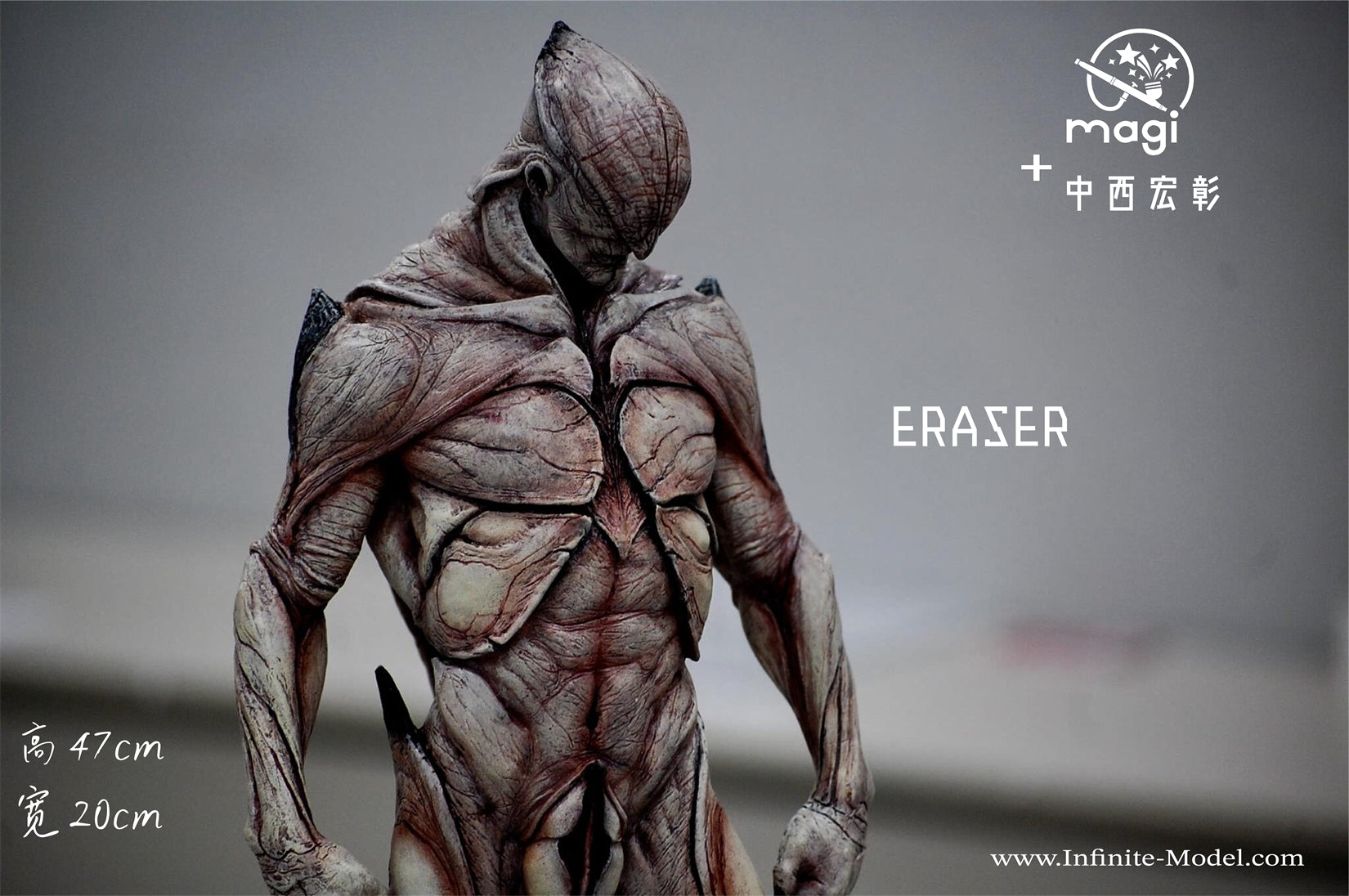 Infinite Model Eraser Figure