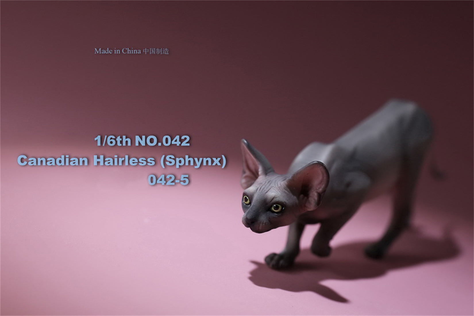 1/6 Canadian Hairless Figure