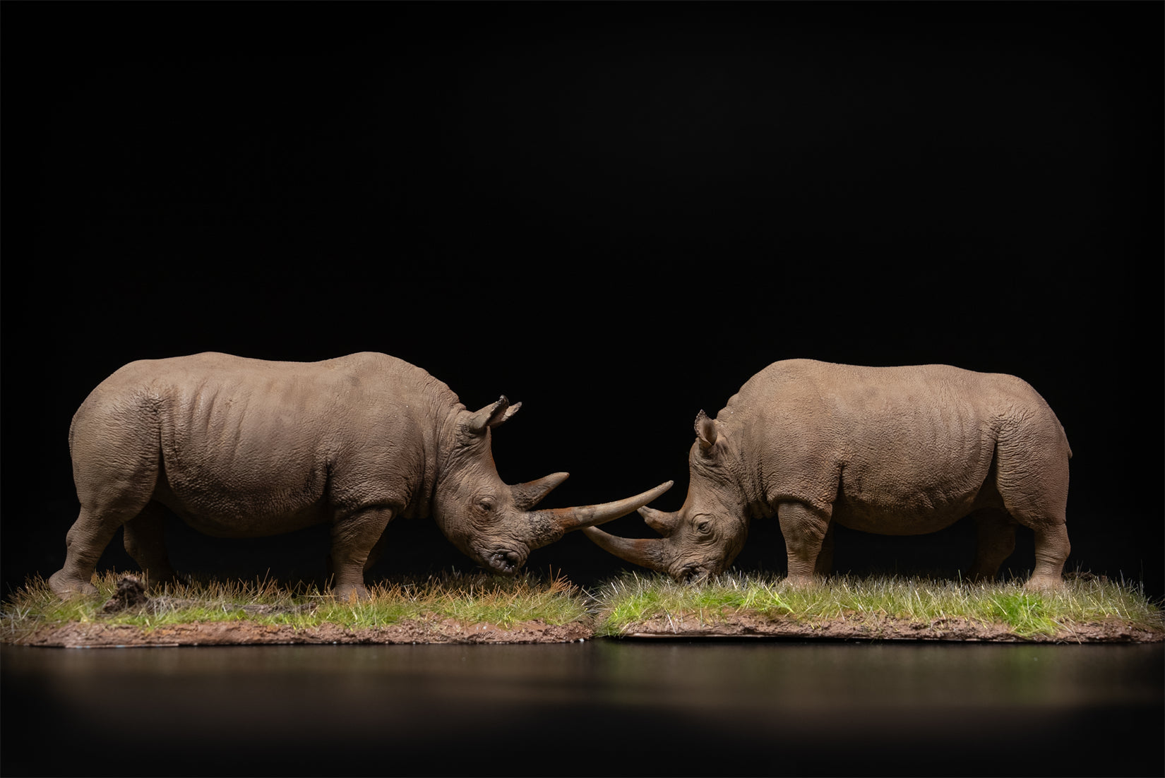 De CLAY Studio 1/35 Scale White rhinoceros battling bulls Model