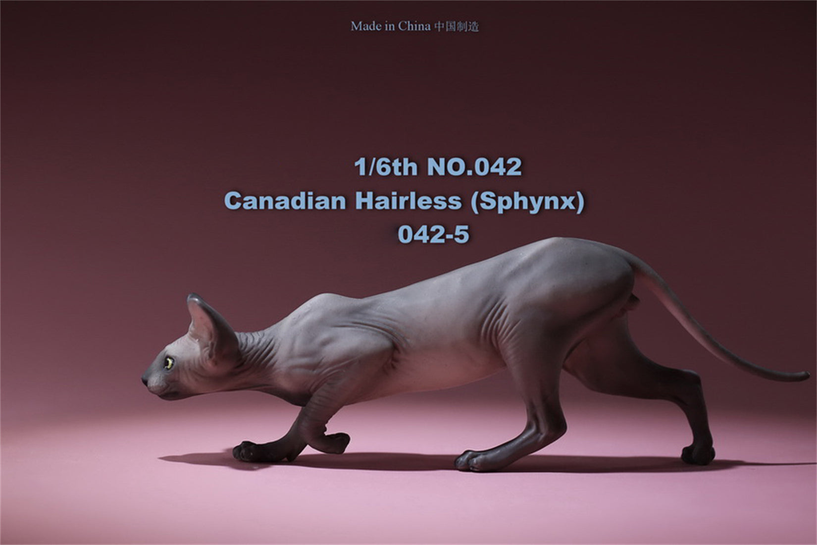 1/6 Canadian Hairless Figure
