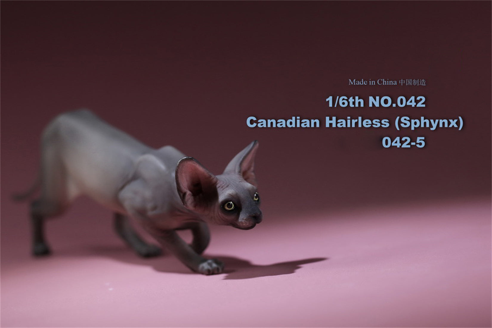 1/6 Canadian Hairless Figure