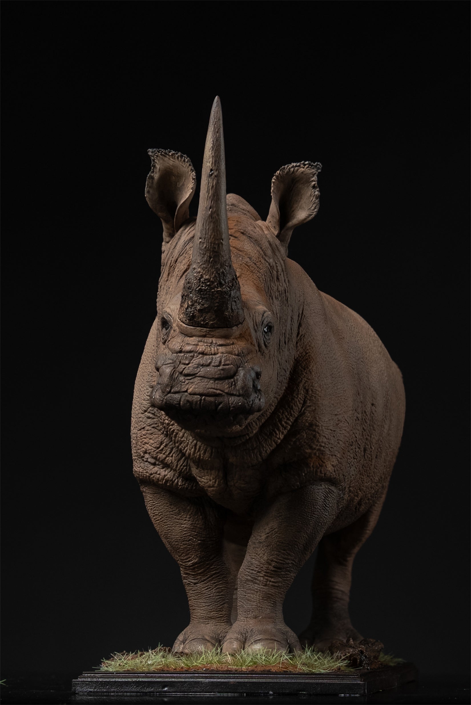 De CLAY Studio White rhinoceros Model