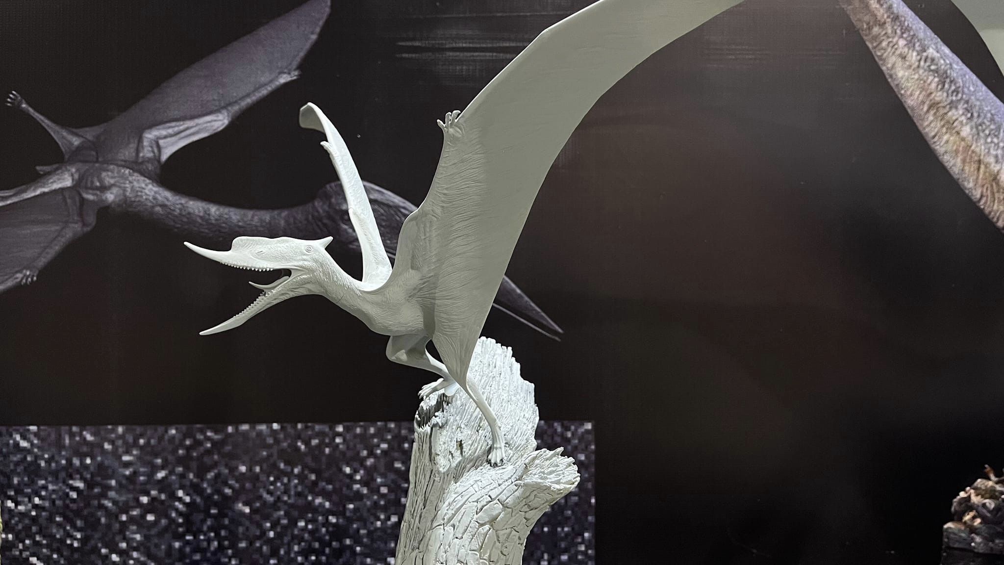 MuSee Studio 1/6 Scale Dsungaripterus Scene Statue