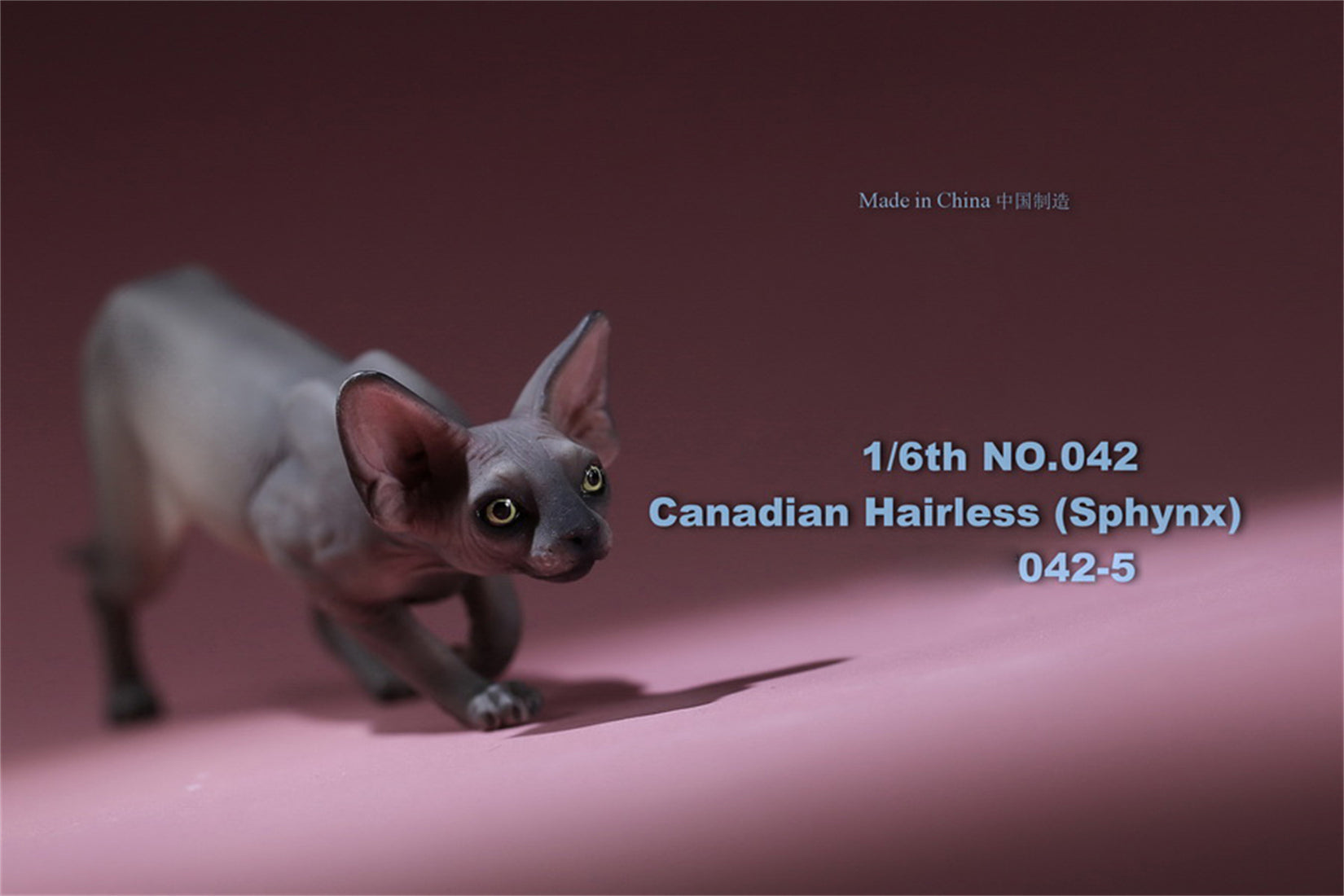 1/6 Canadian Hairless Figure