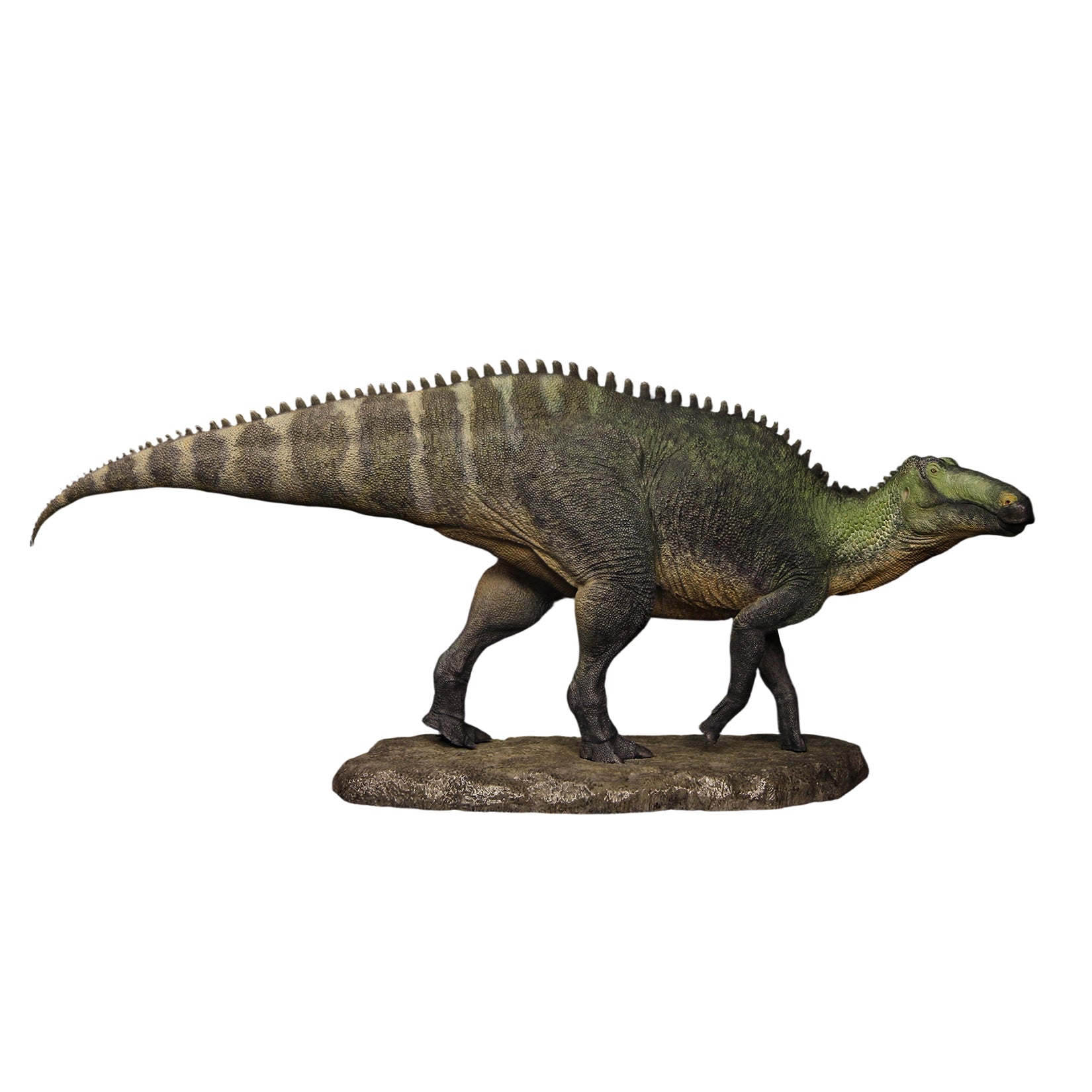 The Boundless World 1:35 Scale Shantungosaurus Figure