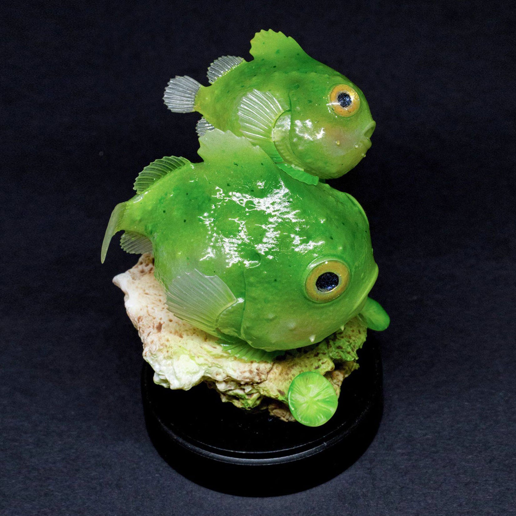 Schildkröten-Serie Tiermodell