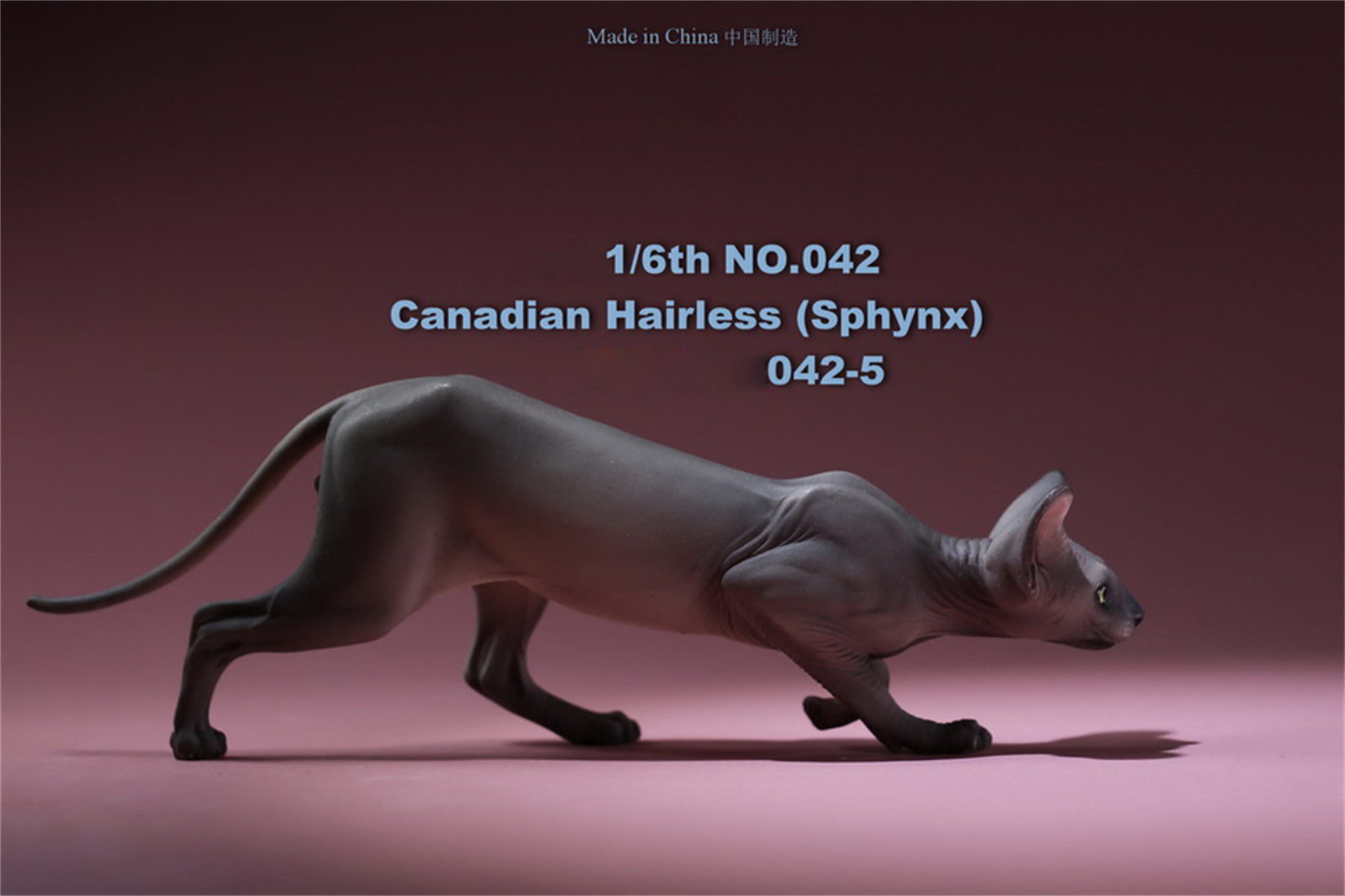 1/6 Canadian Hairless Figure