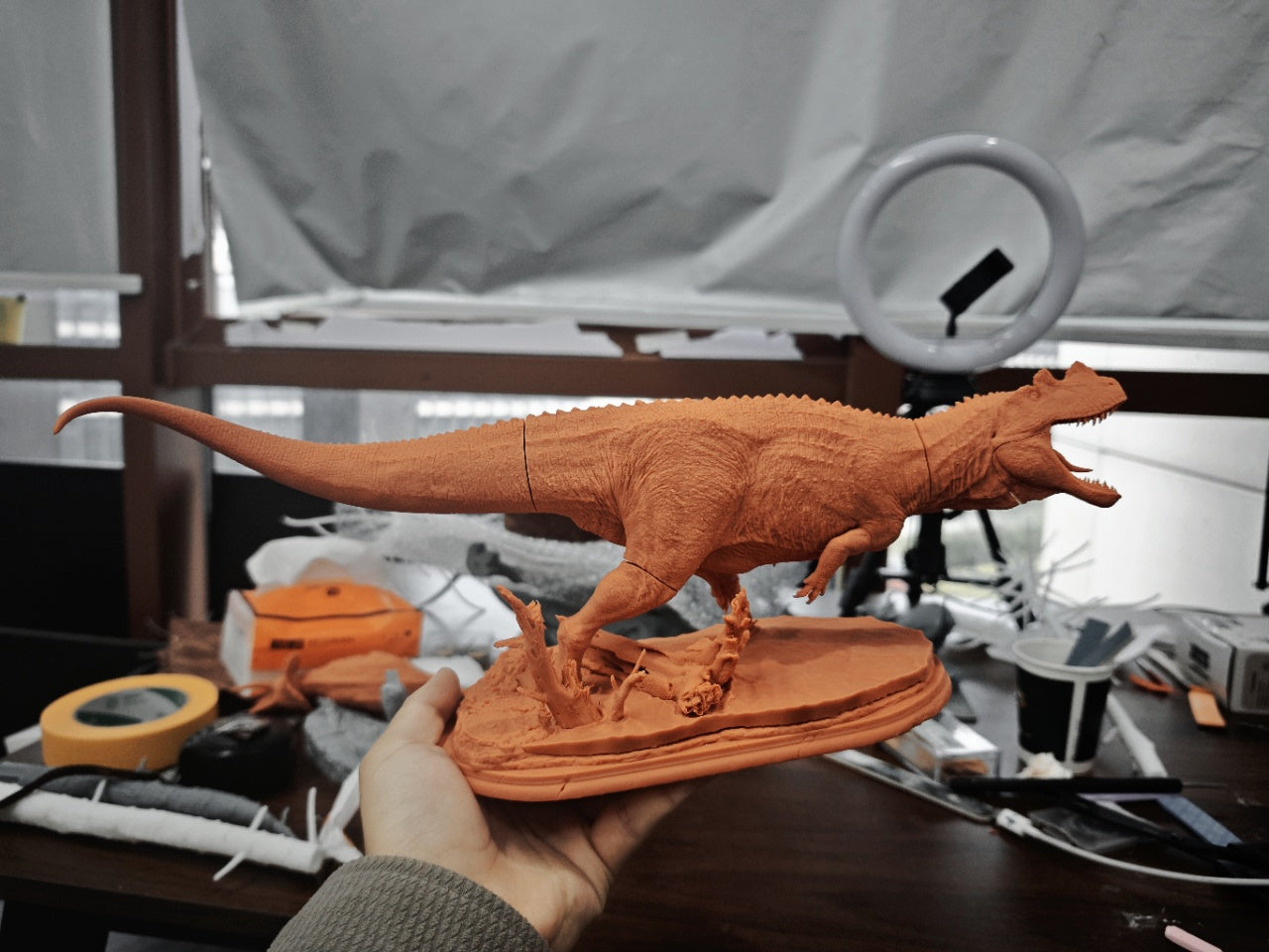 SHOWANNA Ceratosaurus dentisulcatus Model