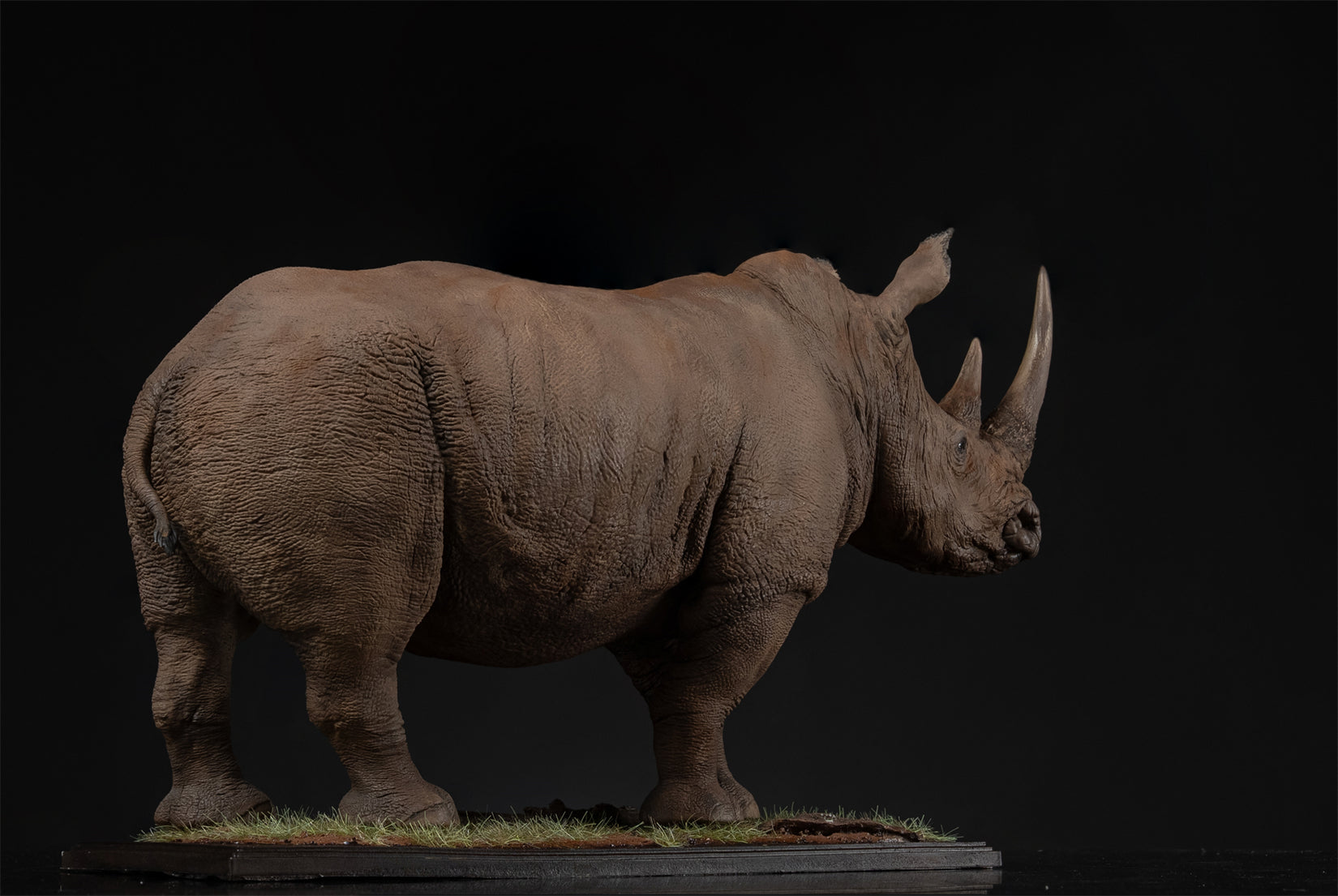 De CLAY Studio White rhinoceros Model