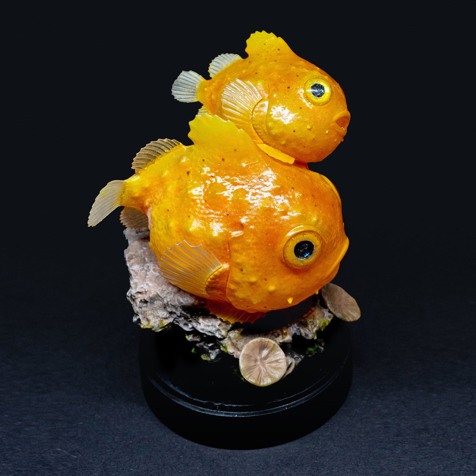 Schildkröten-Serie Tiermodell