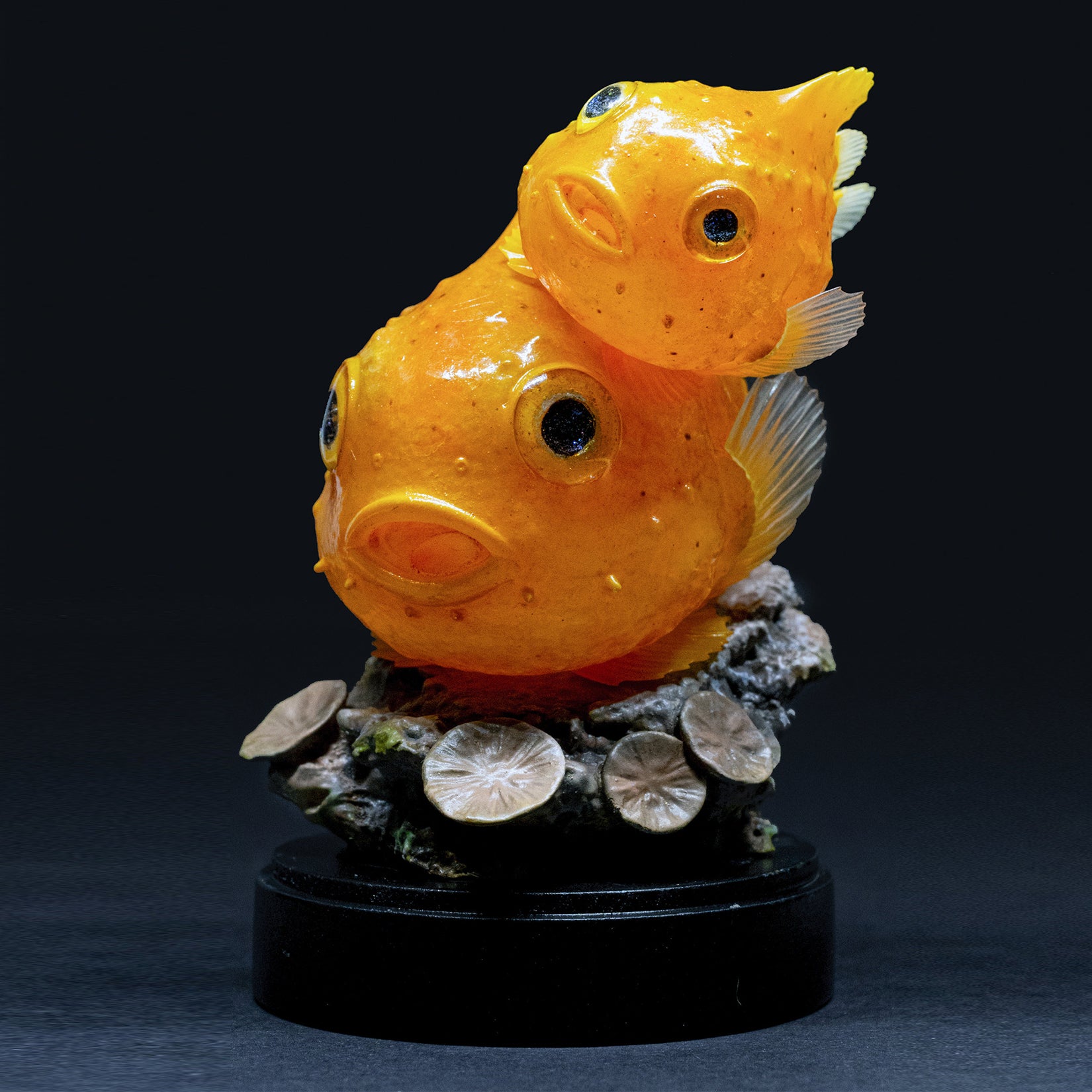 Schildkröten-Serie Tiermodell