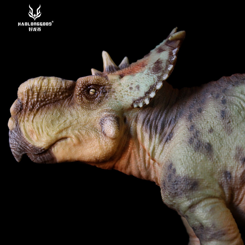 HAOLONGGOOD 1:35 Scale Pachyrhinosaurus Model